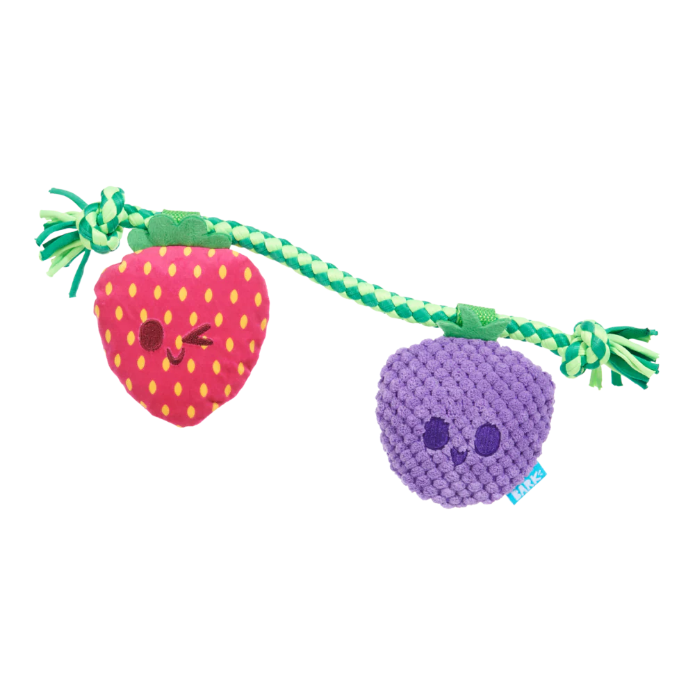 BARK Best Berry Friends Dog Toy