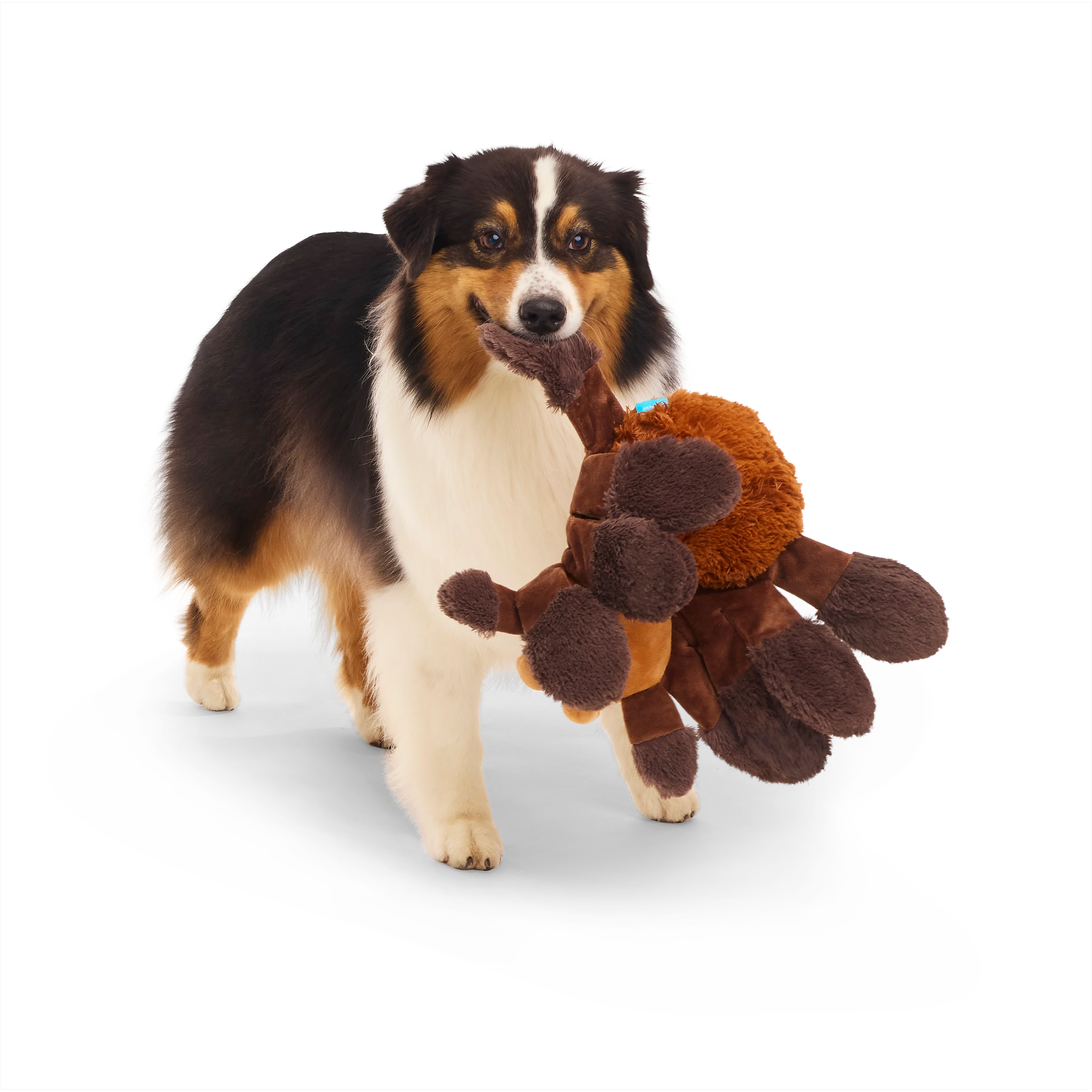 BARK X Harry Potter Aragog Dog Toy - Image 2