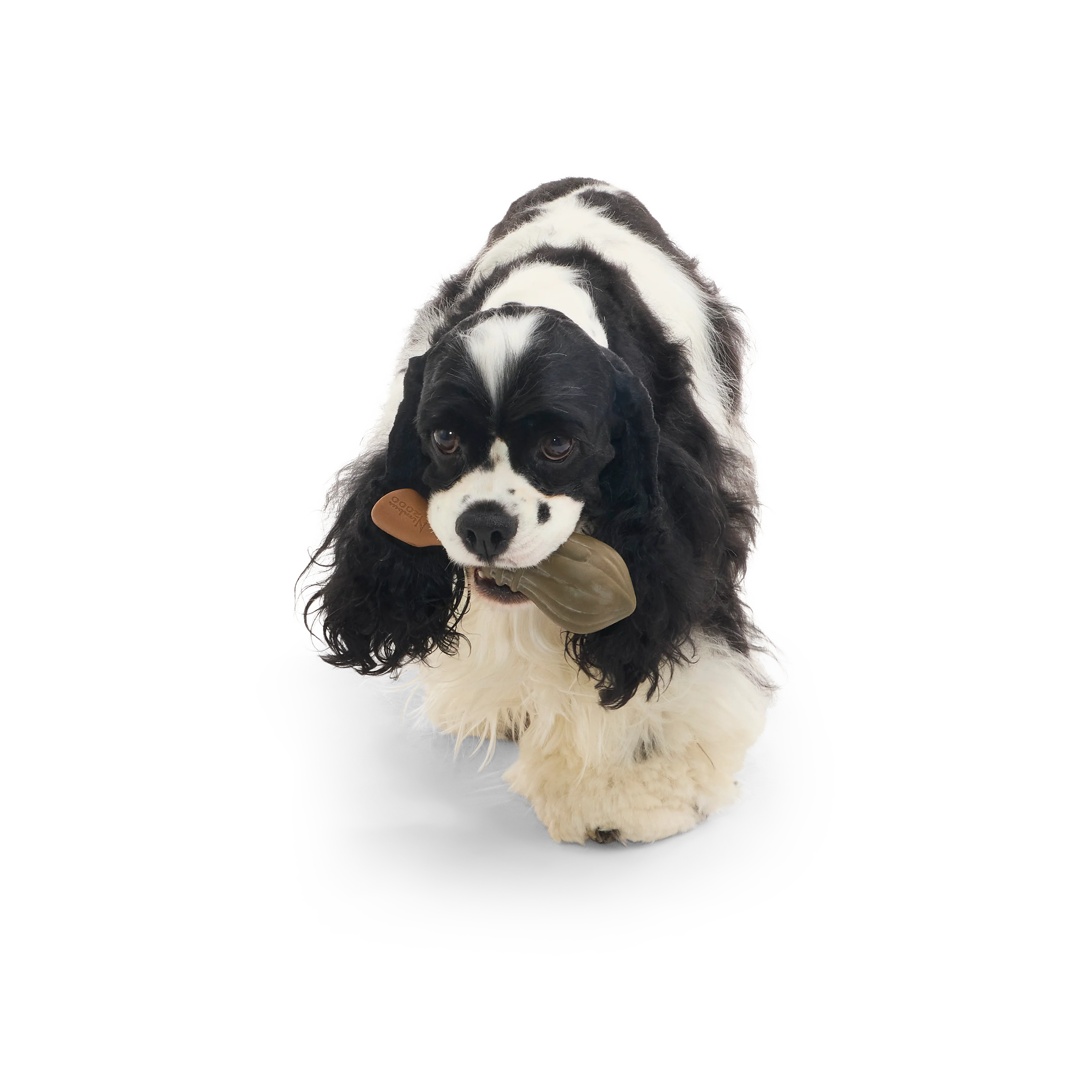 BARK X Harry Potter Nimbus 2000 Dog Toy - Image 2