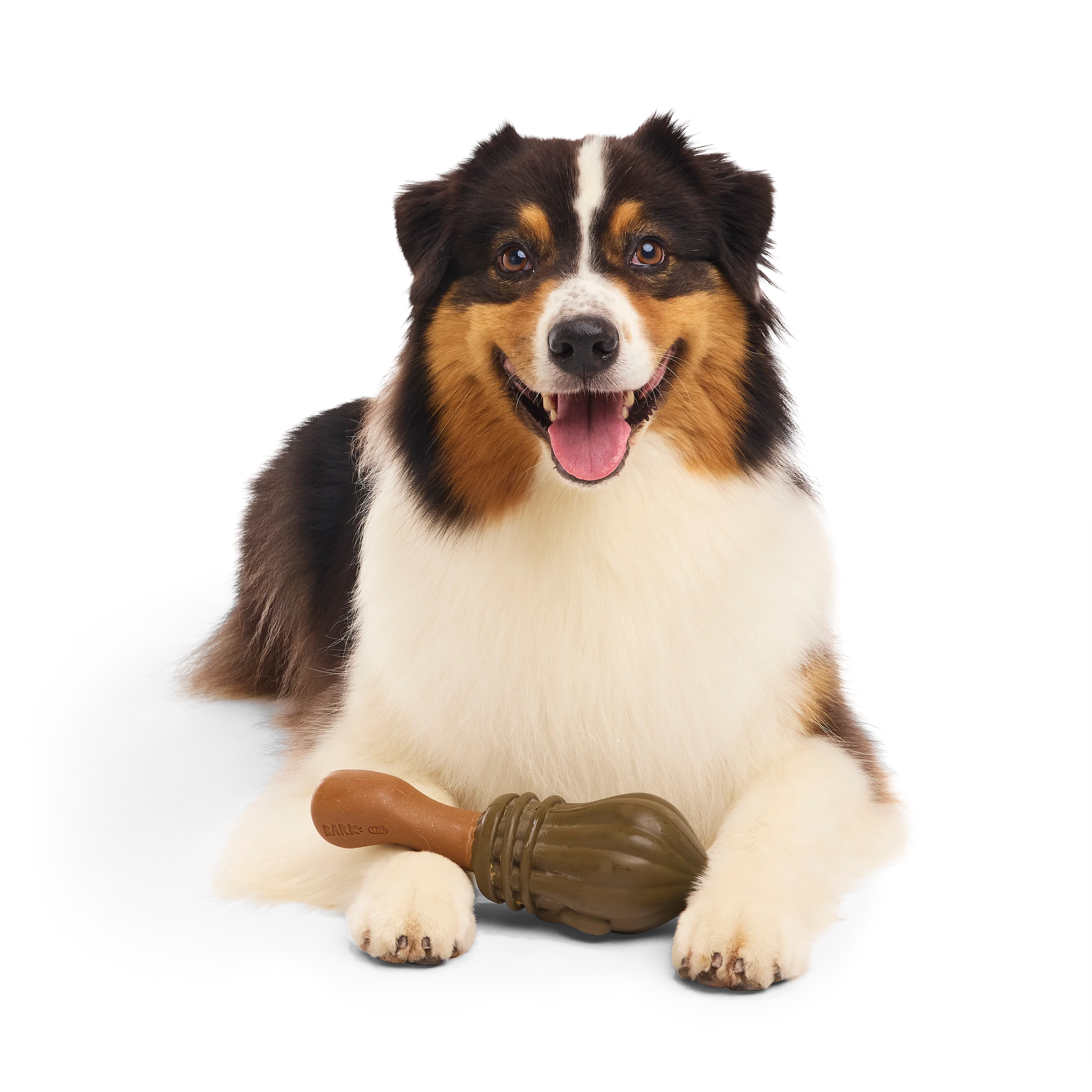 BARK X Harry Potter Nimbus 2000 Dog Toy - Image 3