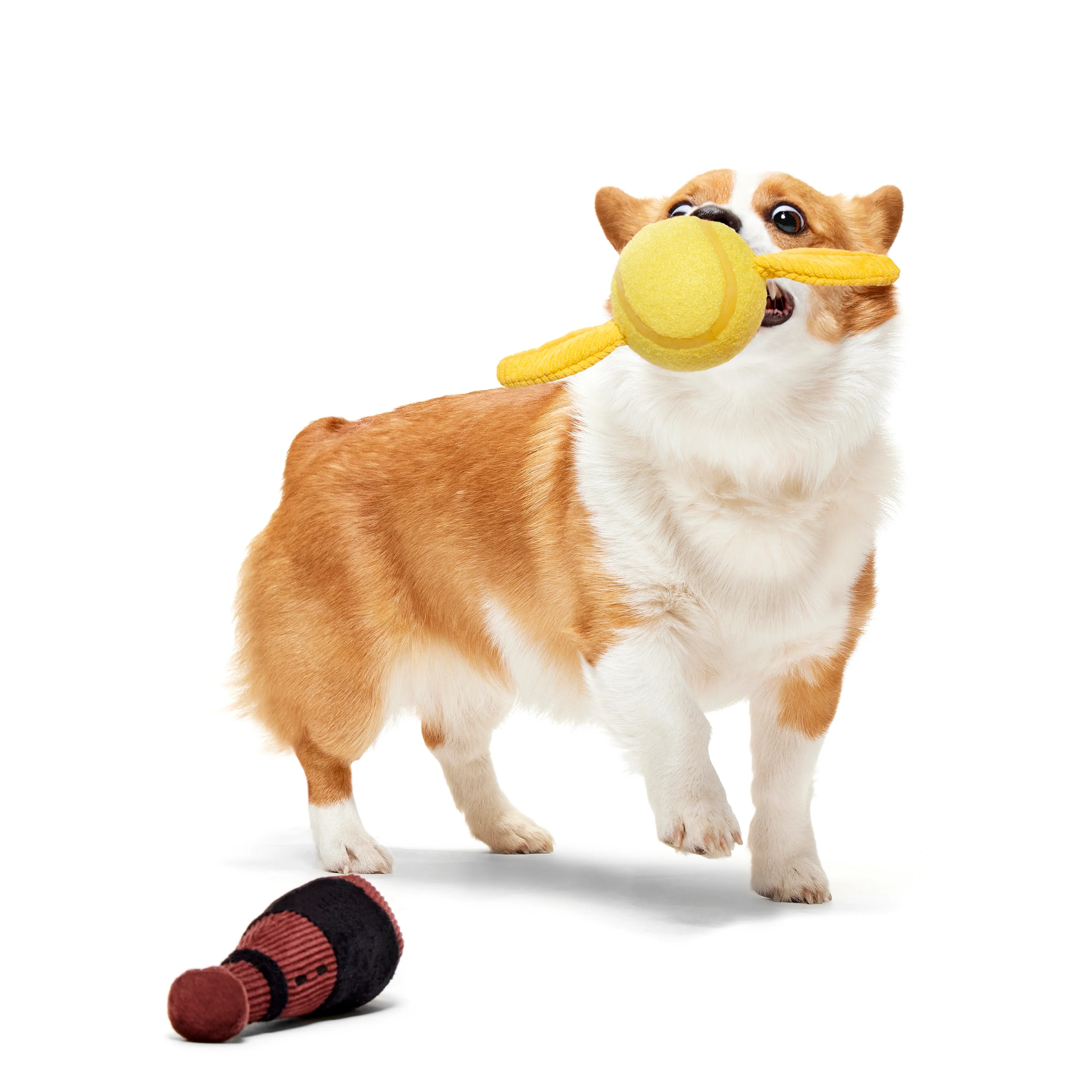 BARK X Harry Potter Quidditch Set Dog Toy - Image 2