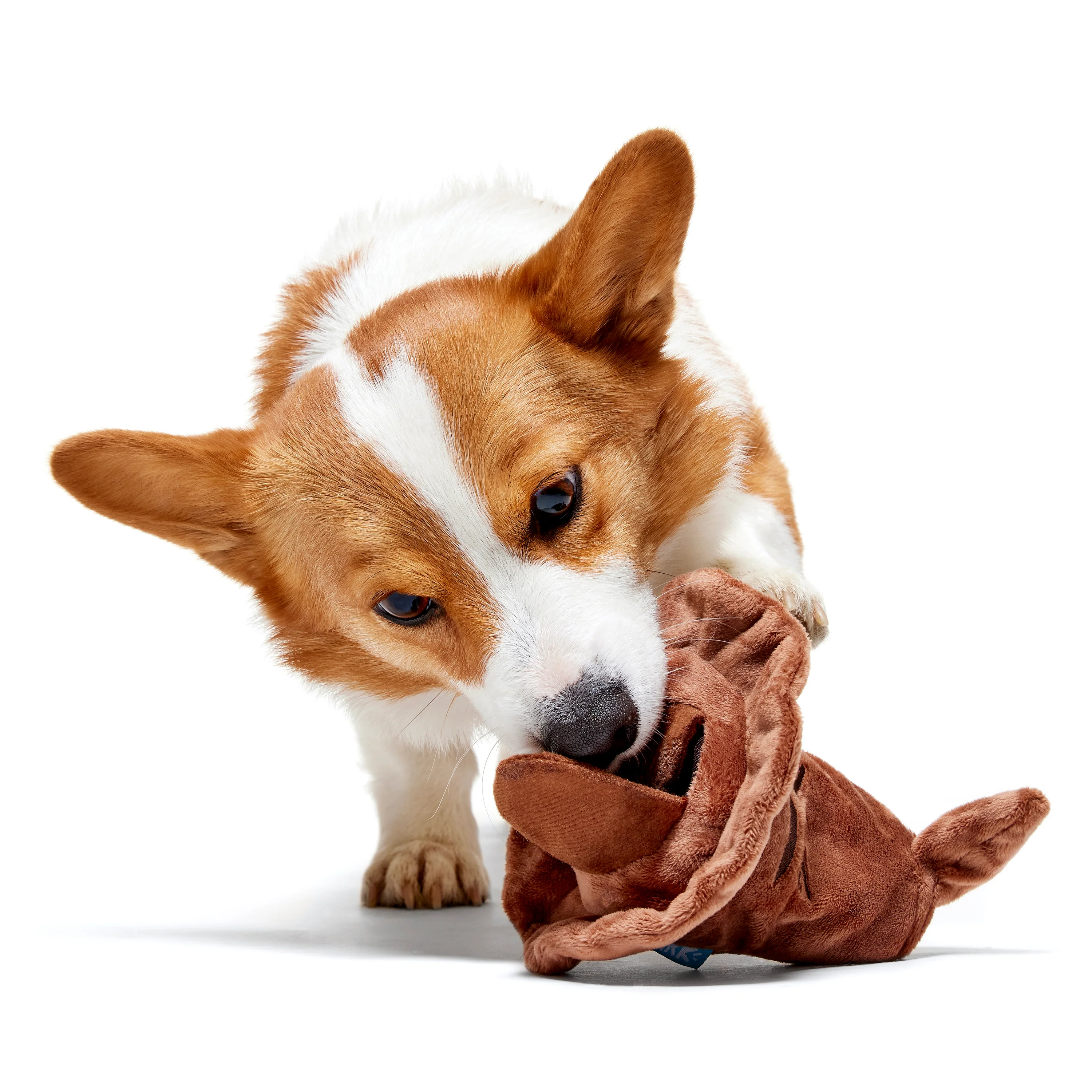 BARK X Harry Potter Sorting Hat Dog Toy - Image 3