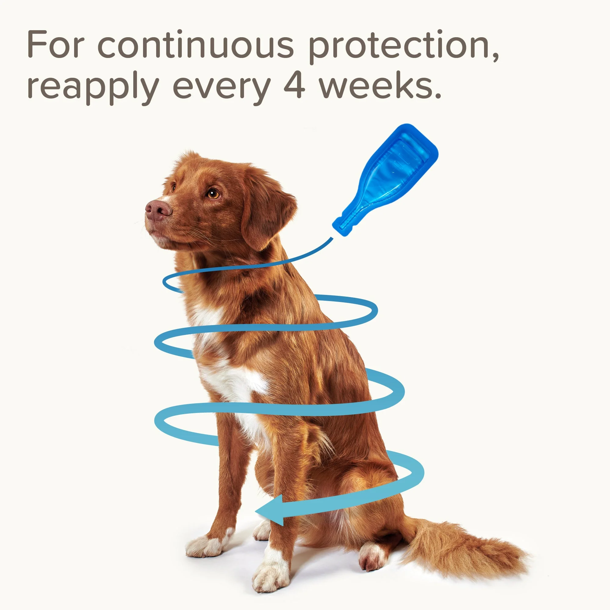 Beaphar FIPROtec Flea & Tick Spot-On Solution for Large Dogs (20-40kg) - Image 5