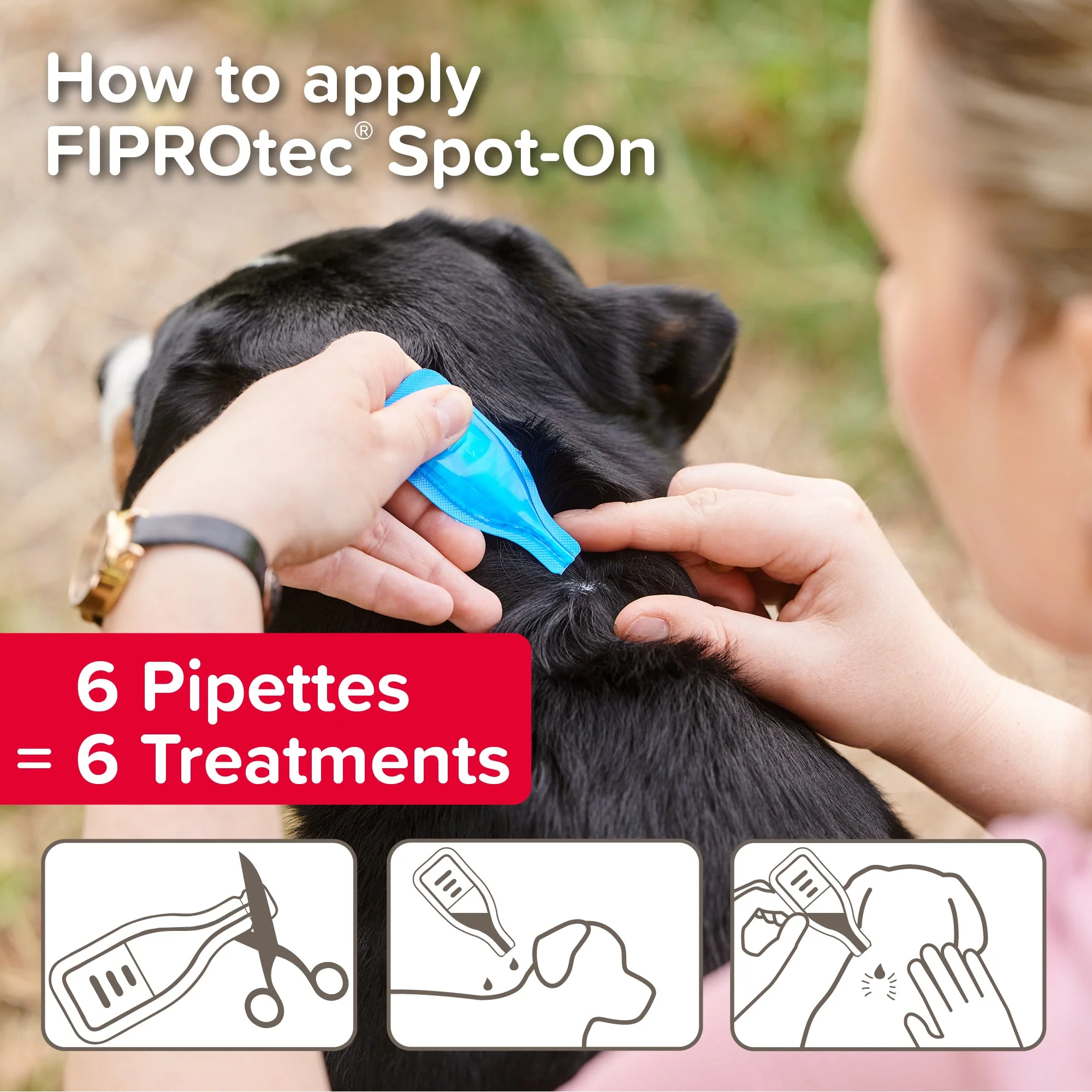 Beaphar FIPROtec Flea & Tick Spot-On Solution for Large Dogs (20-40kg) - Image 6