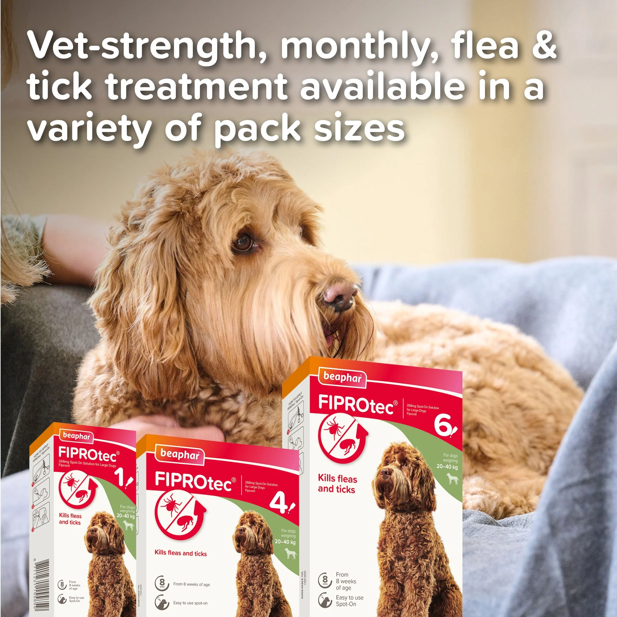 Beaphar FIPROtec Flea & Tick Spot-On Solution for Large Dogs (20-40kg) - Image 8