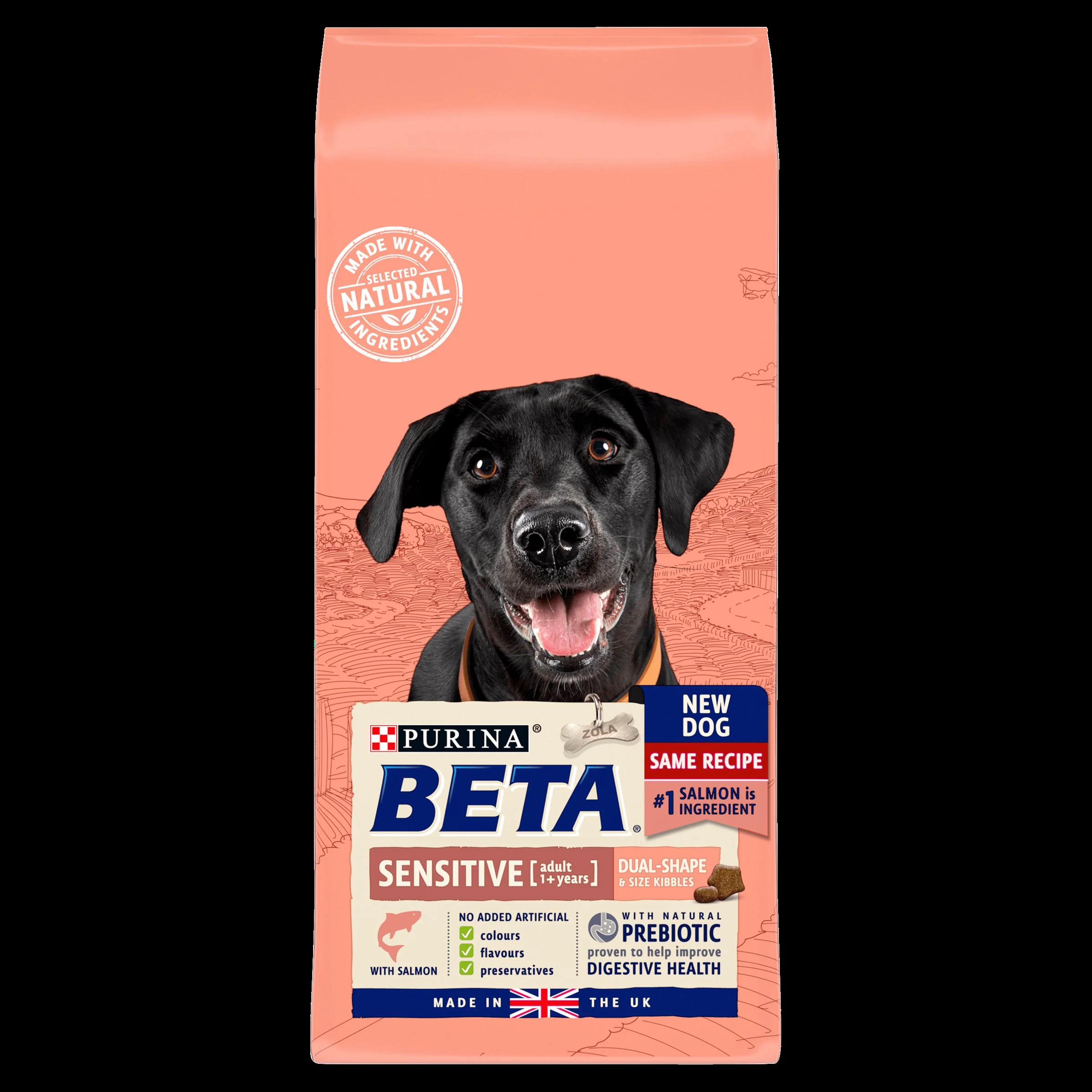 BETA Sensitive Adult Dry Dog Food - Salmon & Rice - Image 2