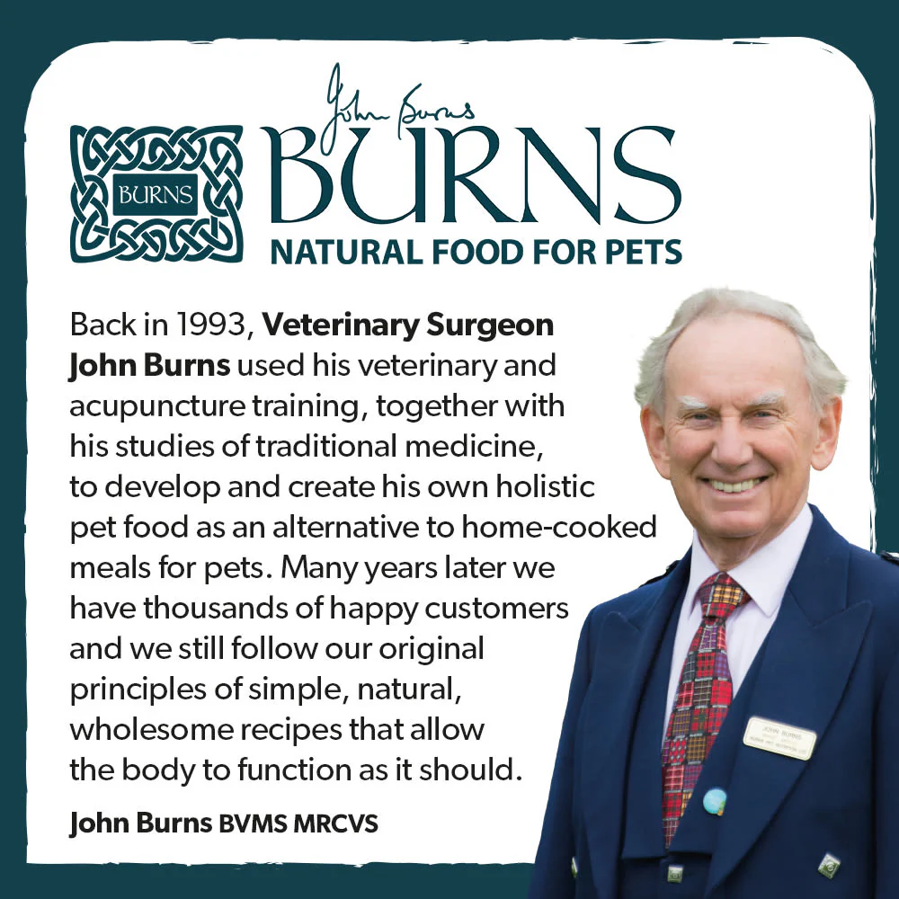 Burns Free From Adult Duck and Potato Dry Dog Food - Image 3
