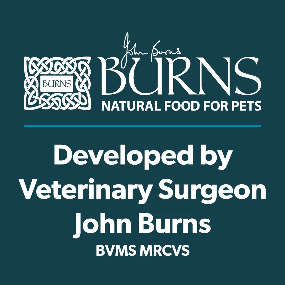 Burns Free From Puppy Duck and Potato Dry Dog Food - Image 4