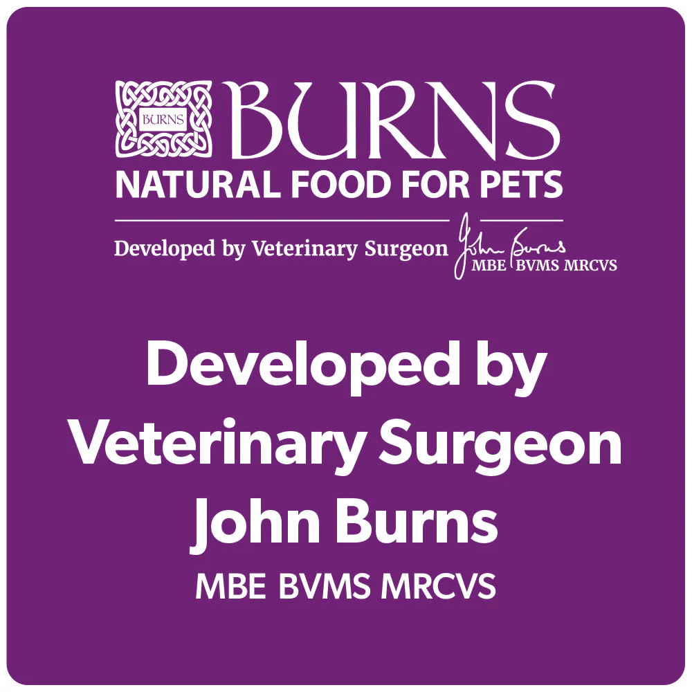 Burns Kitten Dry Cat Food - Chicken & Rice - Image 12