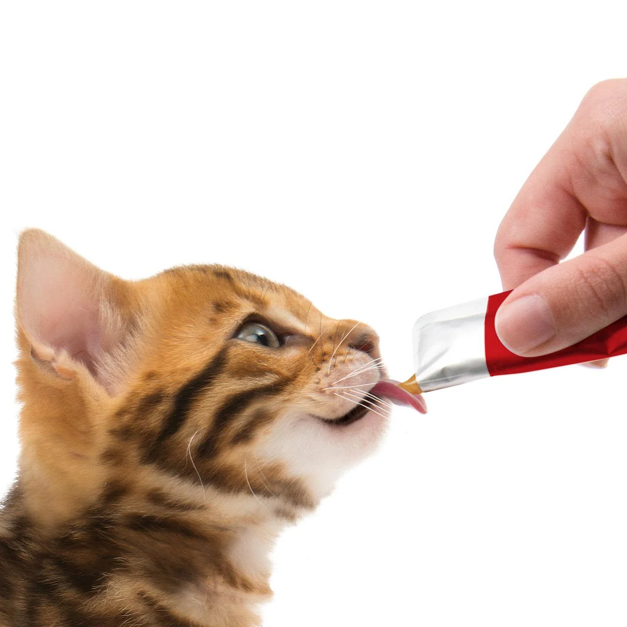 Catit Creamy Lickable Treat Chicken & Lamb - Image 3