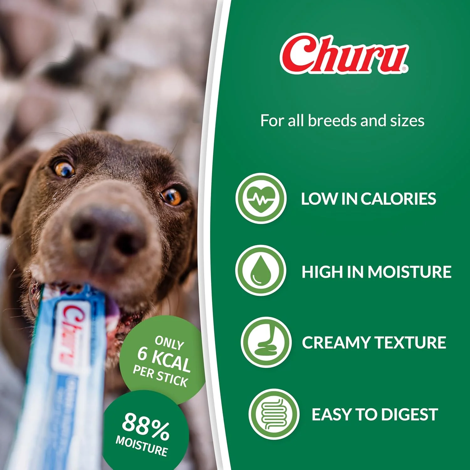 Ciao Churu Dog Treat - Chicken with Tuna Recipe - Image 3