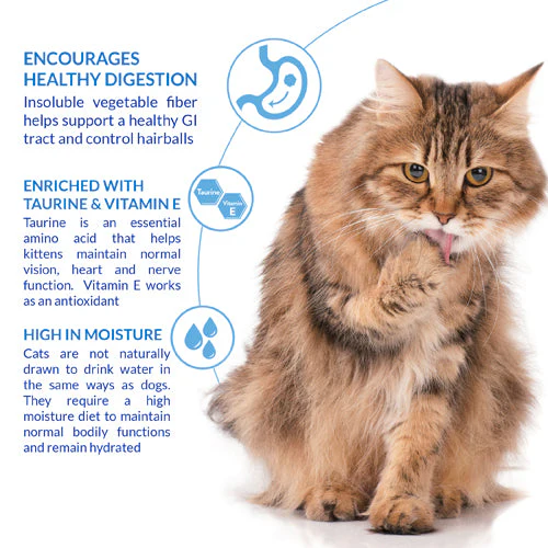 Ciao Churu Hairball Control 4 Pack Cat Treat - Chicken Recipe - Image 3