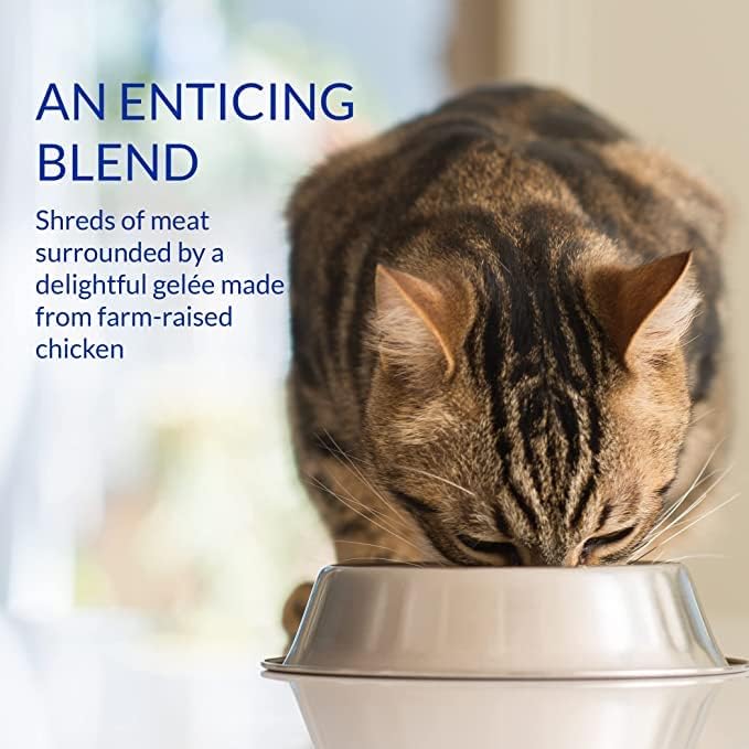 Ciao Stew Wet Cat Food - Chicken & Tuna Recipe - Image 3