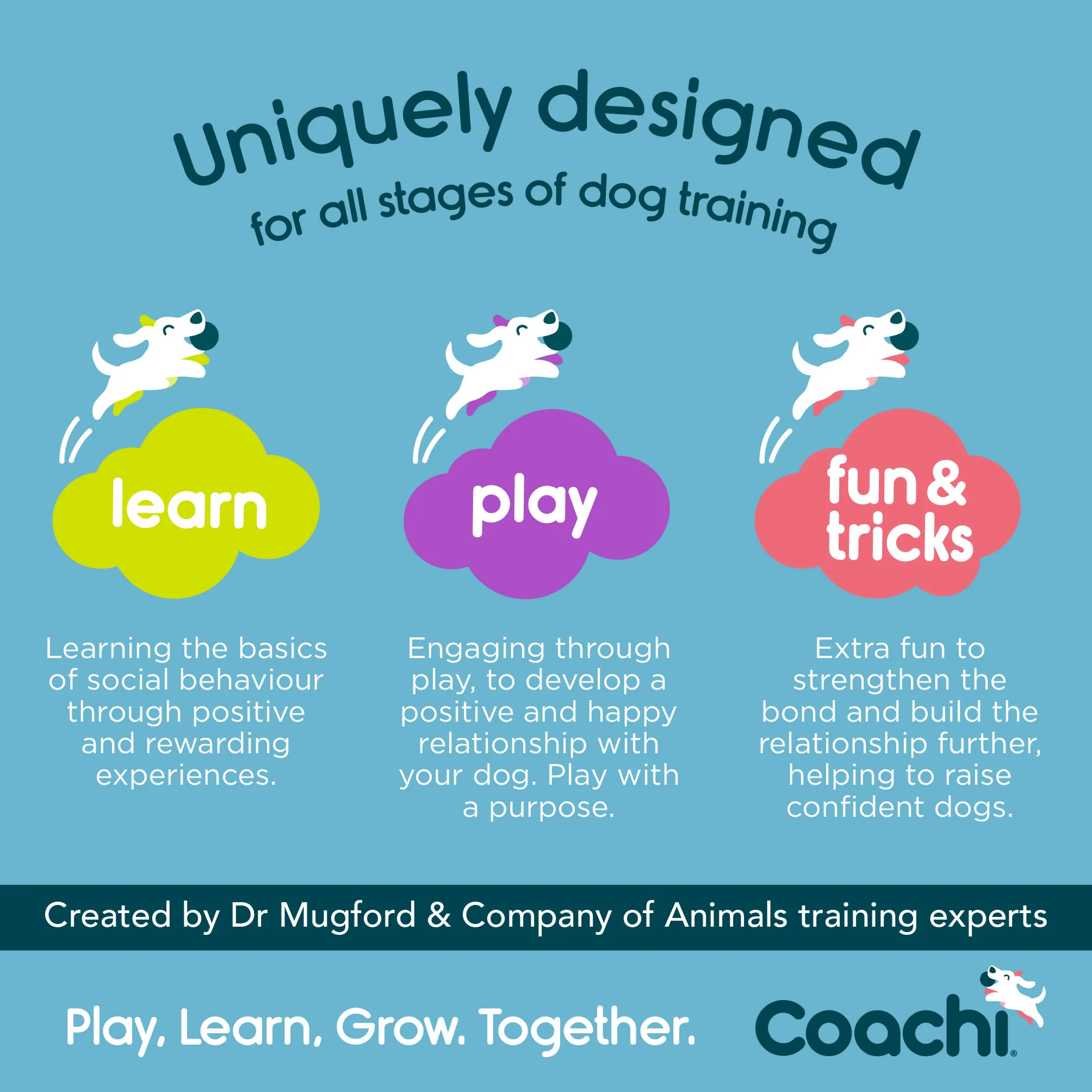 Coachi Fetch & Reward for Dogs - Navy & Lime - Image 7