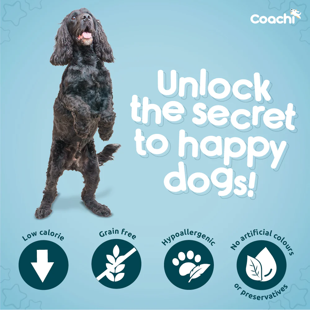 Coachi Natural Calming Dog Treats - Turkey - Image 4