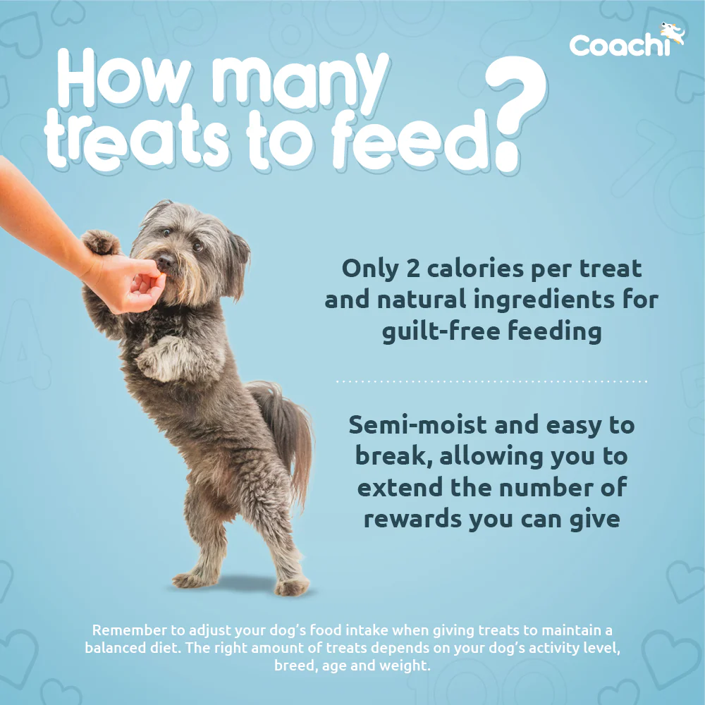 Coachi Natural Dog Training Treats - Ocean Fish - Image 3