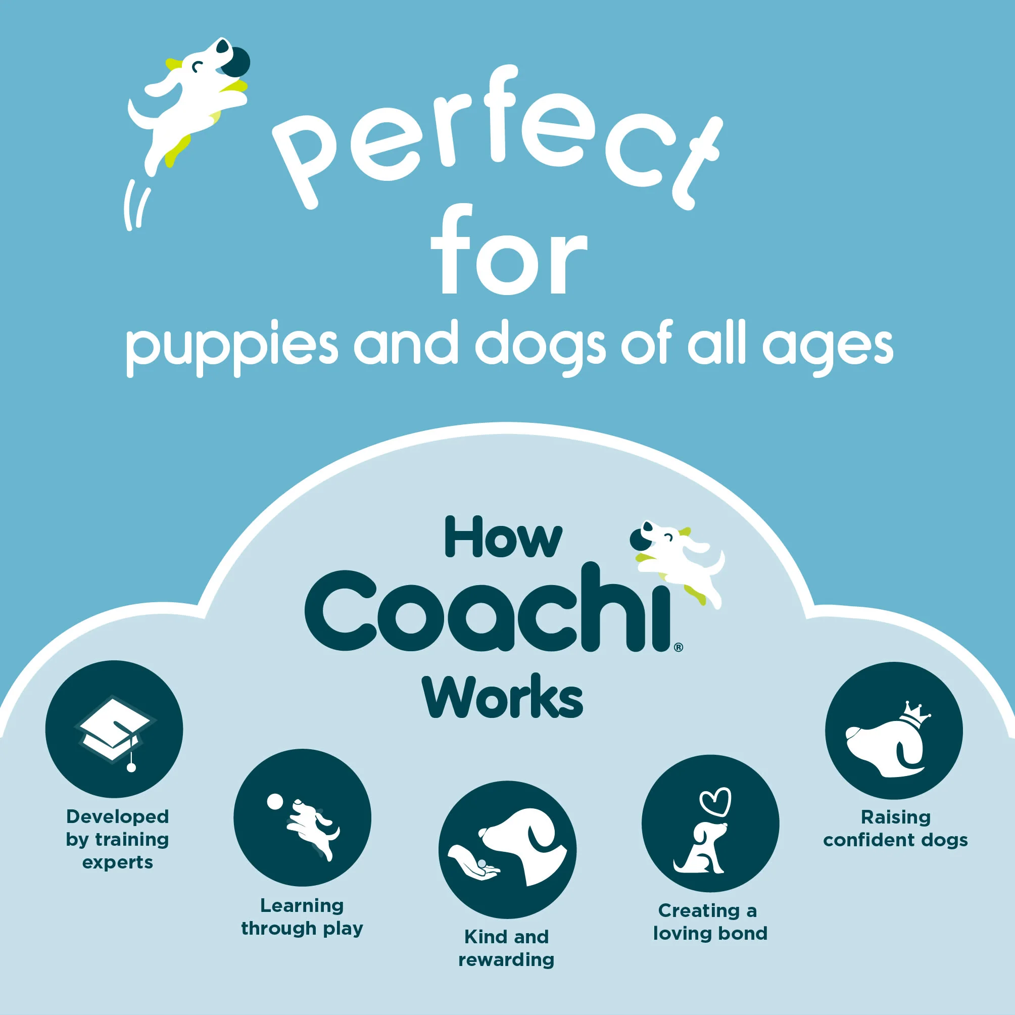 Coachi Training Whistle for Dogs - Navy - Image 8