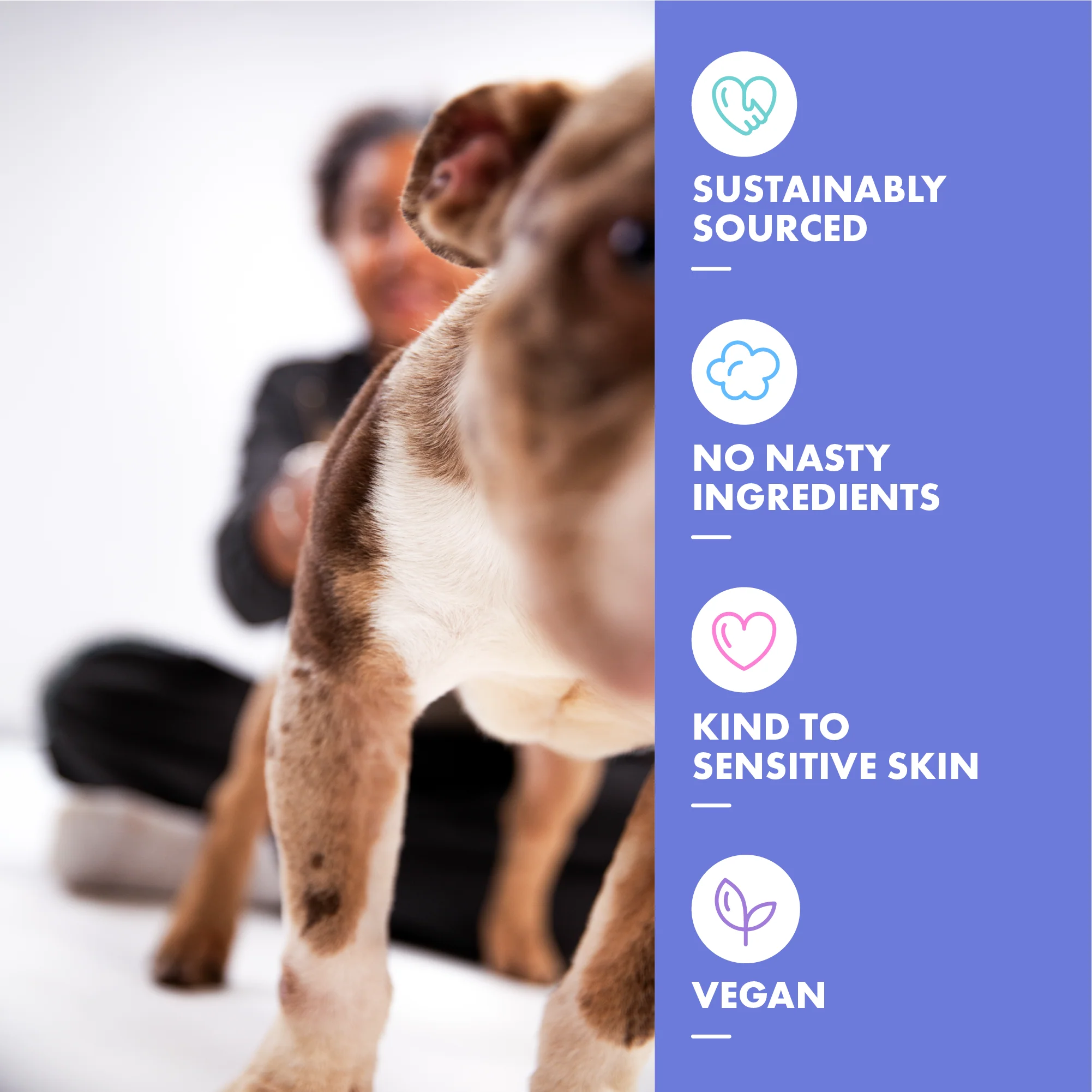 DotDotPet Curly Coat Conditioning Dog Shampoo - Image 3