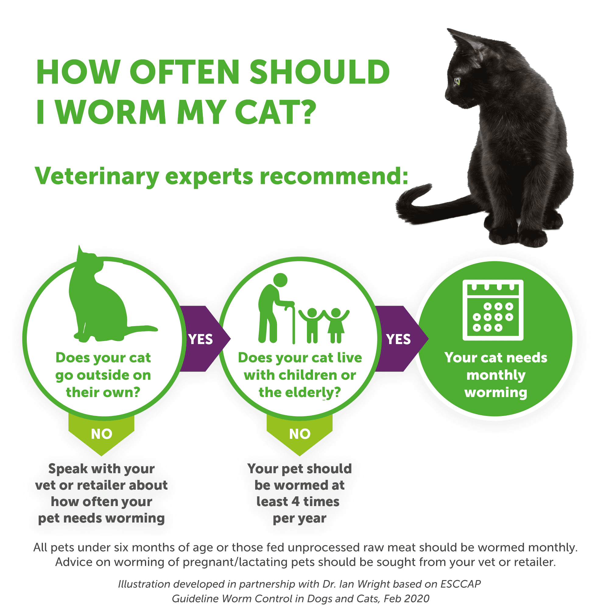 Drontal Wormer Tablets for Small and Medium Cats (2 to 4kg) - Image 8