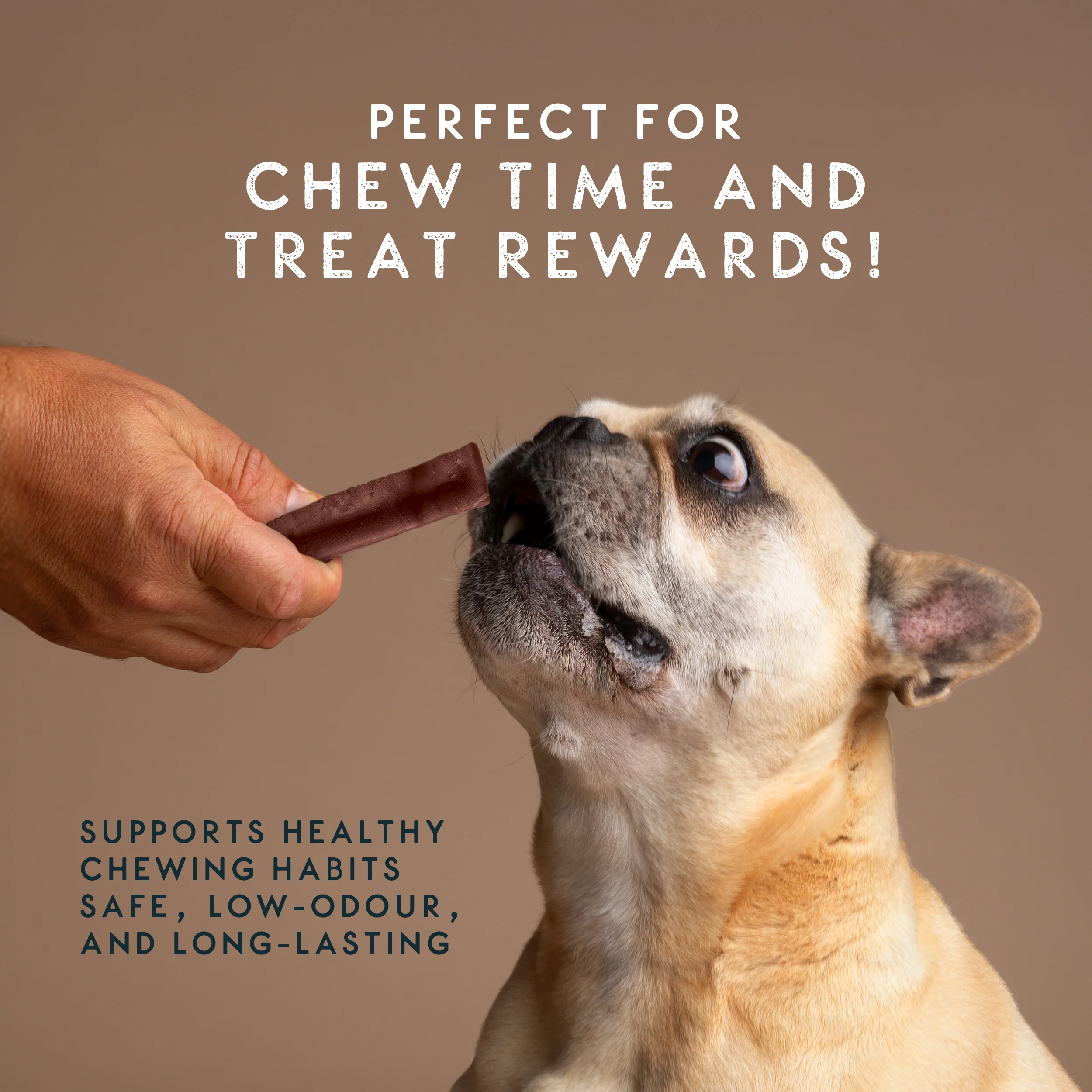 Elkwood Himalayan Strawberry Dog Chew – Small - Image 6