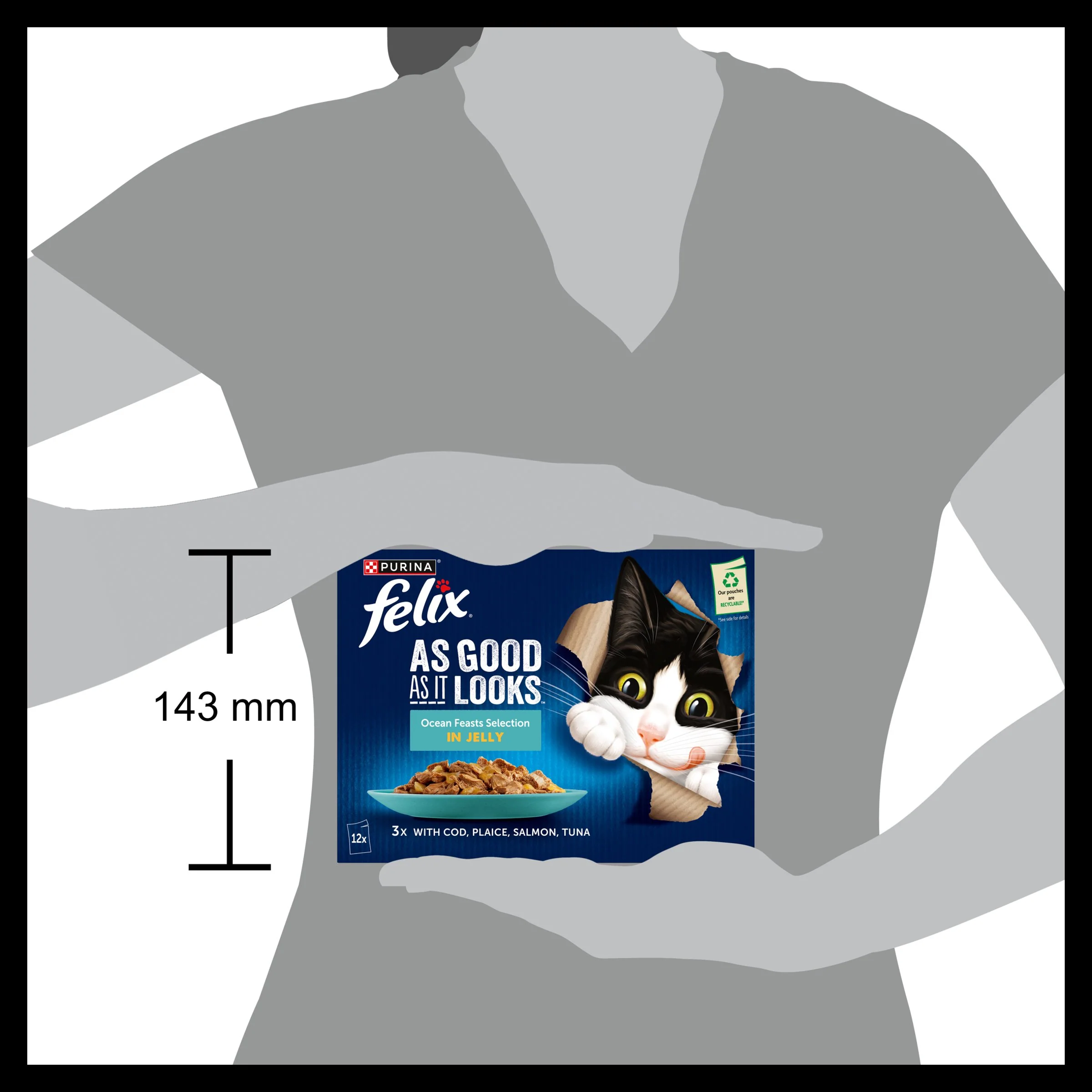 Felix As Good As it Looks Ocean Feasts Wet Cat Food - Image 16