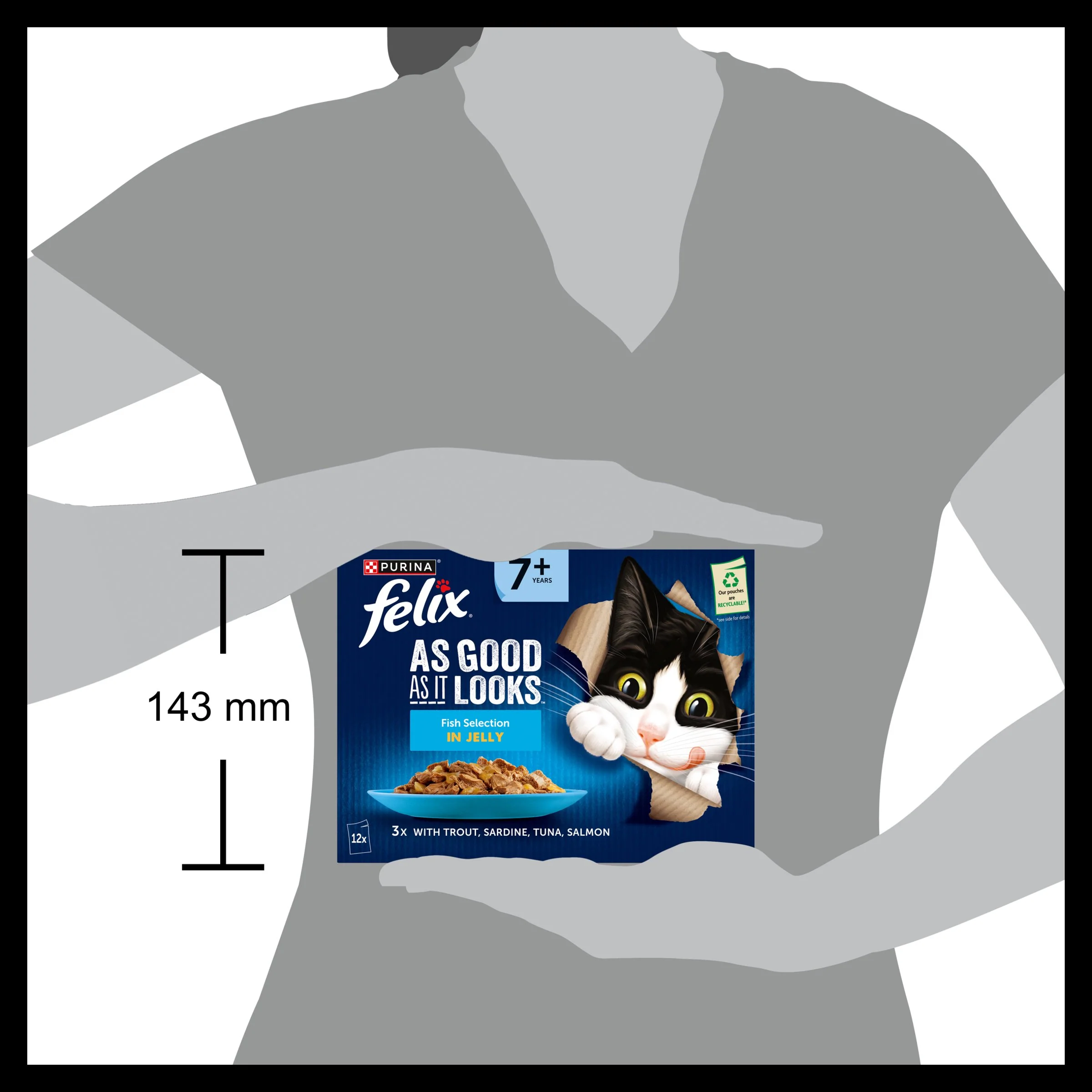 Felix As Good As it Looks Senior 7+ Fish in Jelly Wet Cat Food - Image 9