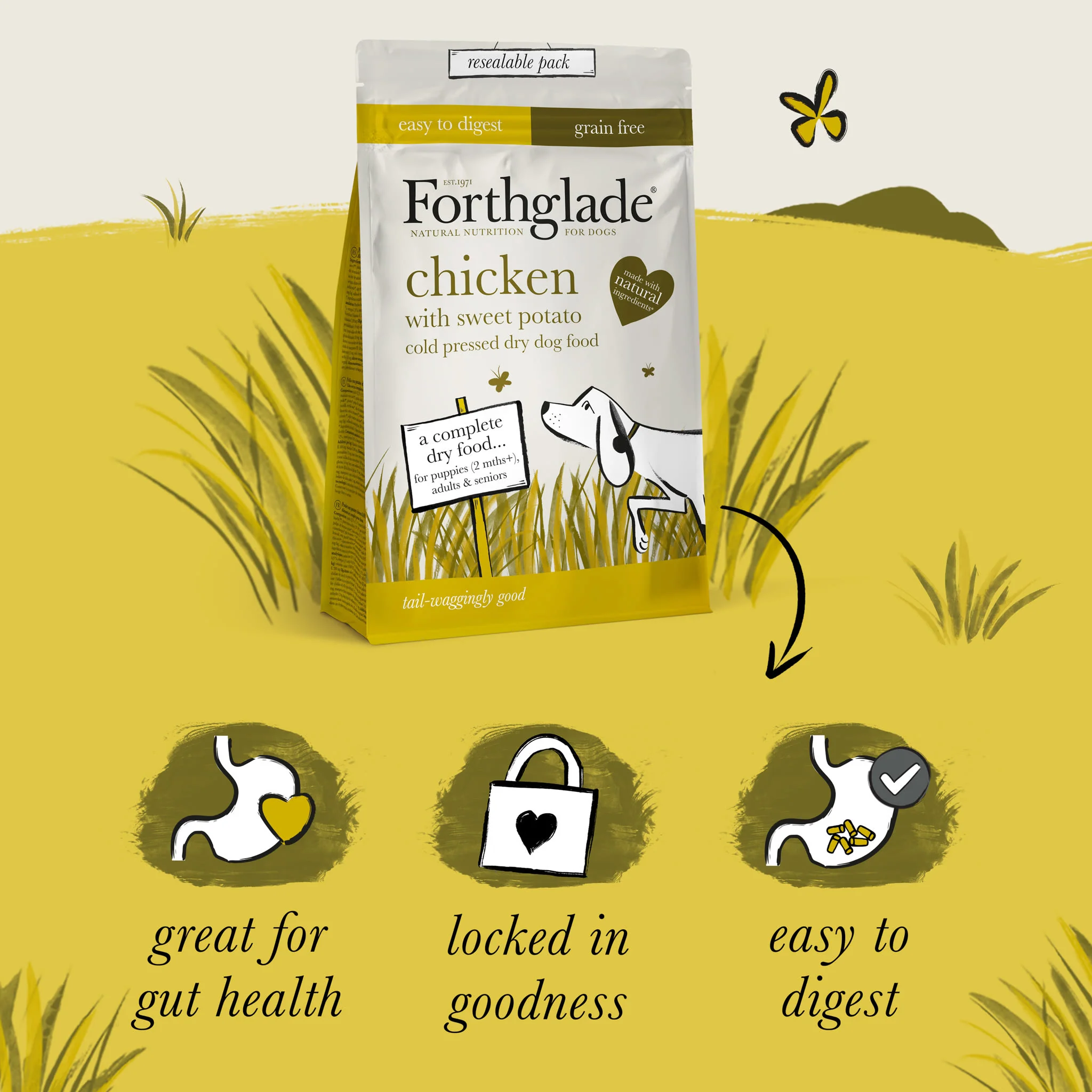 Forthglade Complete Natural Cold Pressed Dry Dog Food - Chicken with Sweet Potato 10kg - Image 3