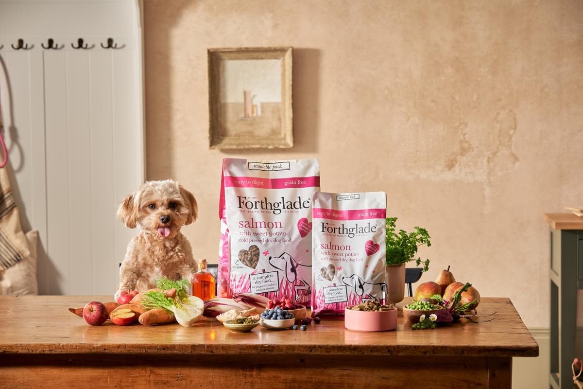 Forthglade Complete Natural Cold Pressed Dry Dog Food - Salmon with Sweet Potato - Image 10
