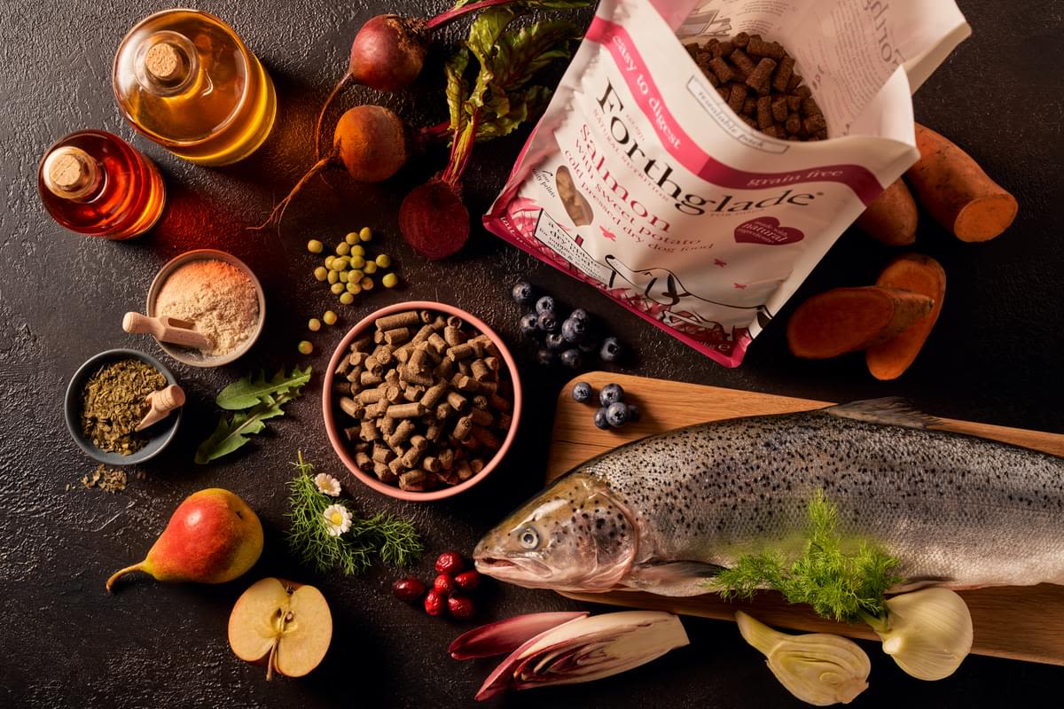 Forthglade Complete Natural Cold Pressed Dry Dog Food - Salmon with Sweet Potato - Image 11