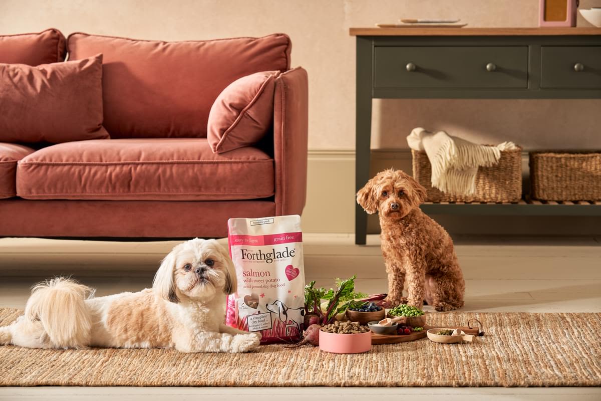 Forthglade Complete Natural Cold Pressed Dry Dog Food - Salmon with Sweet Potato - Image 12