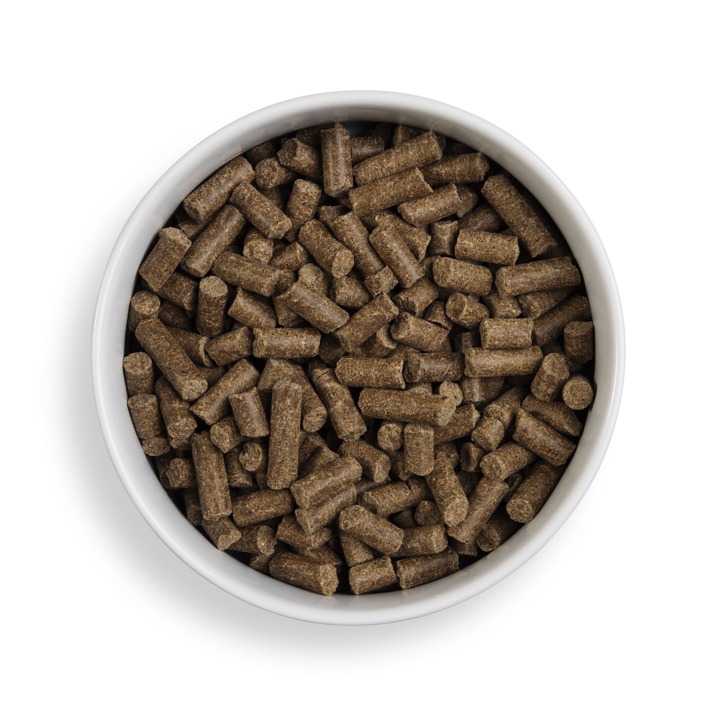 Forthglade Complete Natural Cold Pressed Dry Dog Food - Salmon with Sweet Potato - Image 15