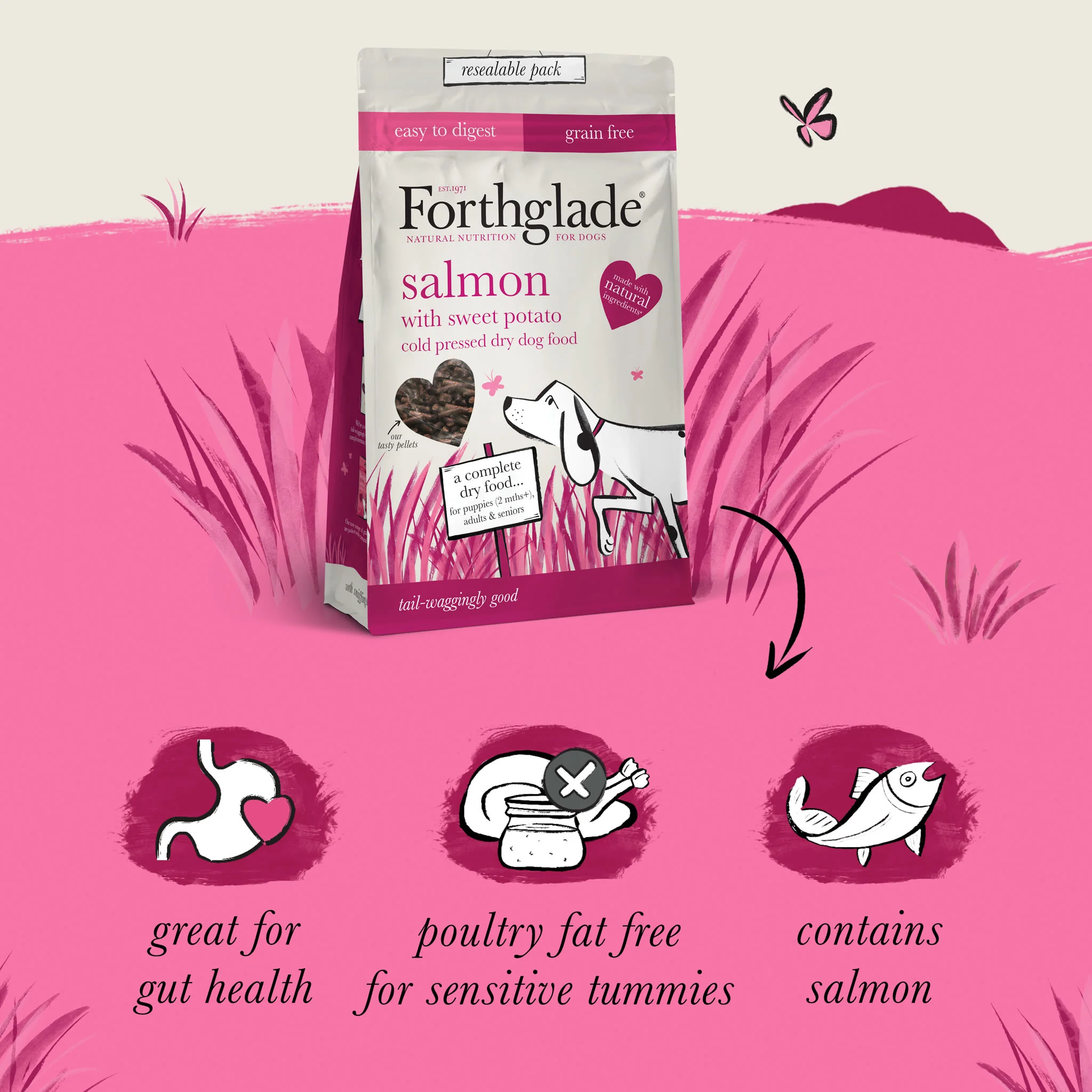 Forthglade Complete Natural Cold Pressed Dry Dog Food - Salmon with Sweet Potato - Image 4