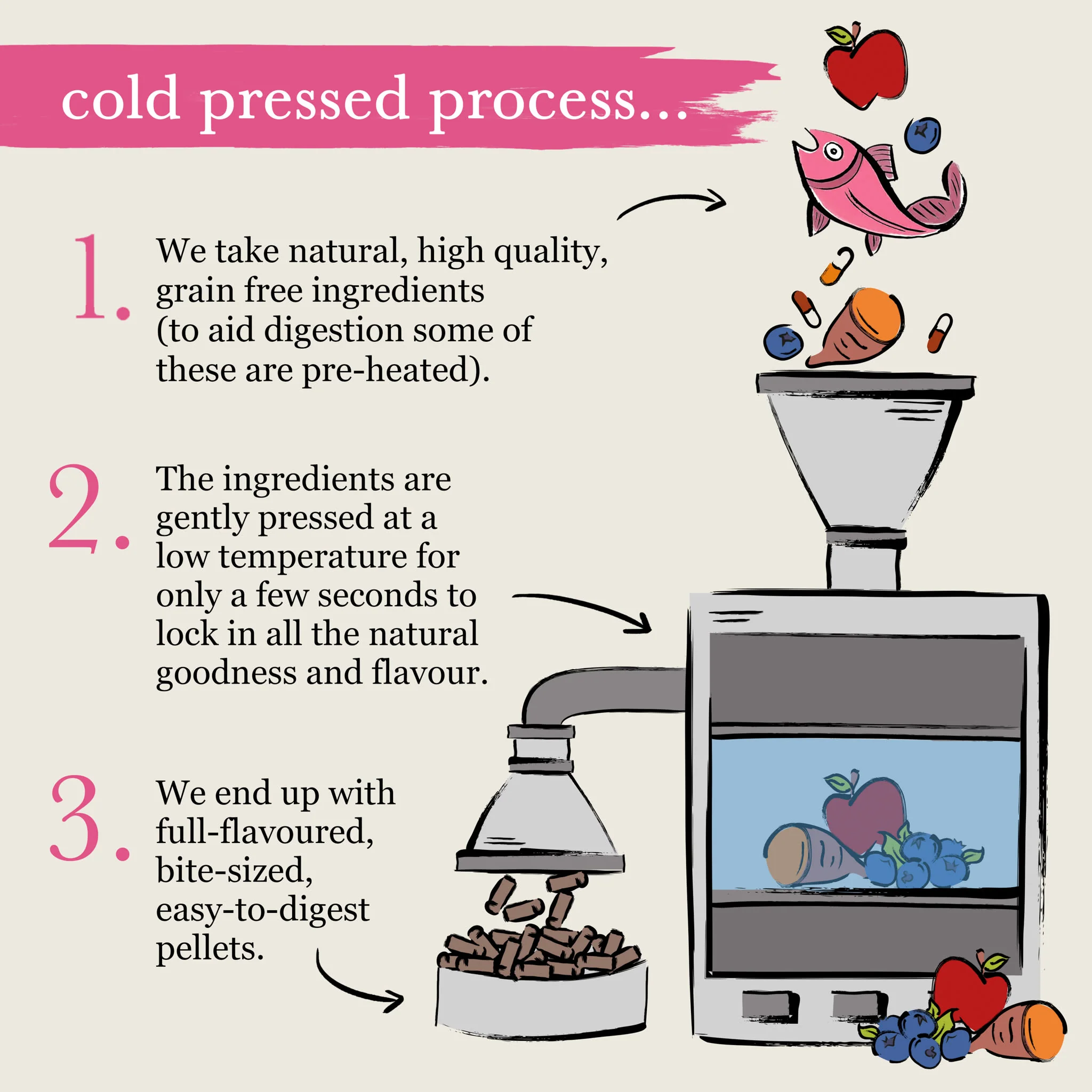 Forthglade Complete Natural Cold Pressed Dry Dog Food - Salmon with Sweet Potato - Image 7
