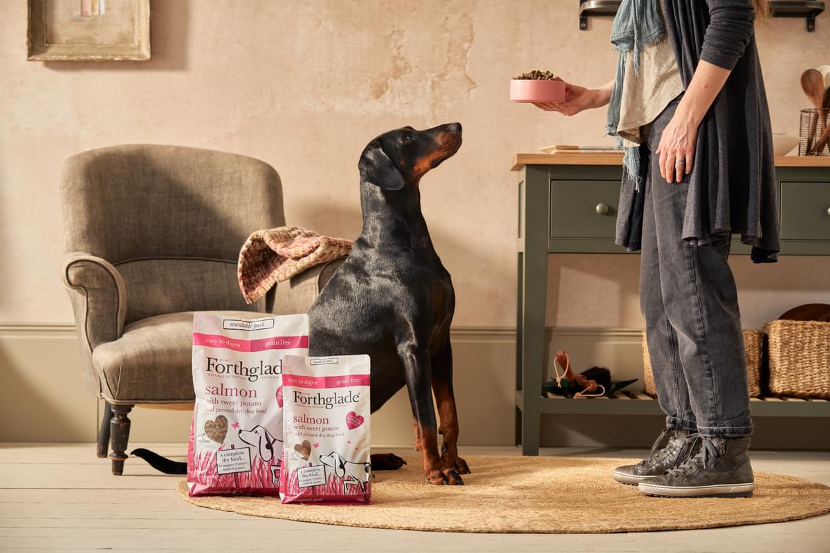 Forthglade Complete Natural Cold Pressed Dry Dog Food - Salmon with Sweet Potato - Image 9