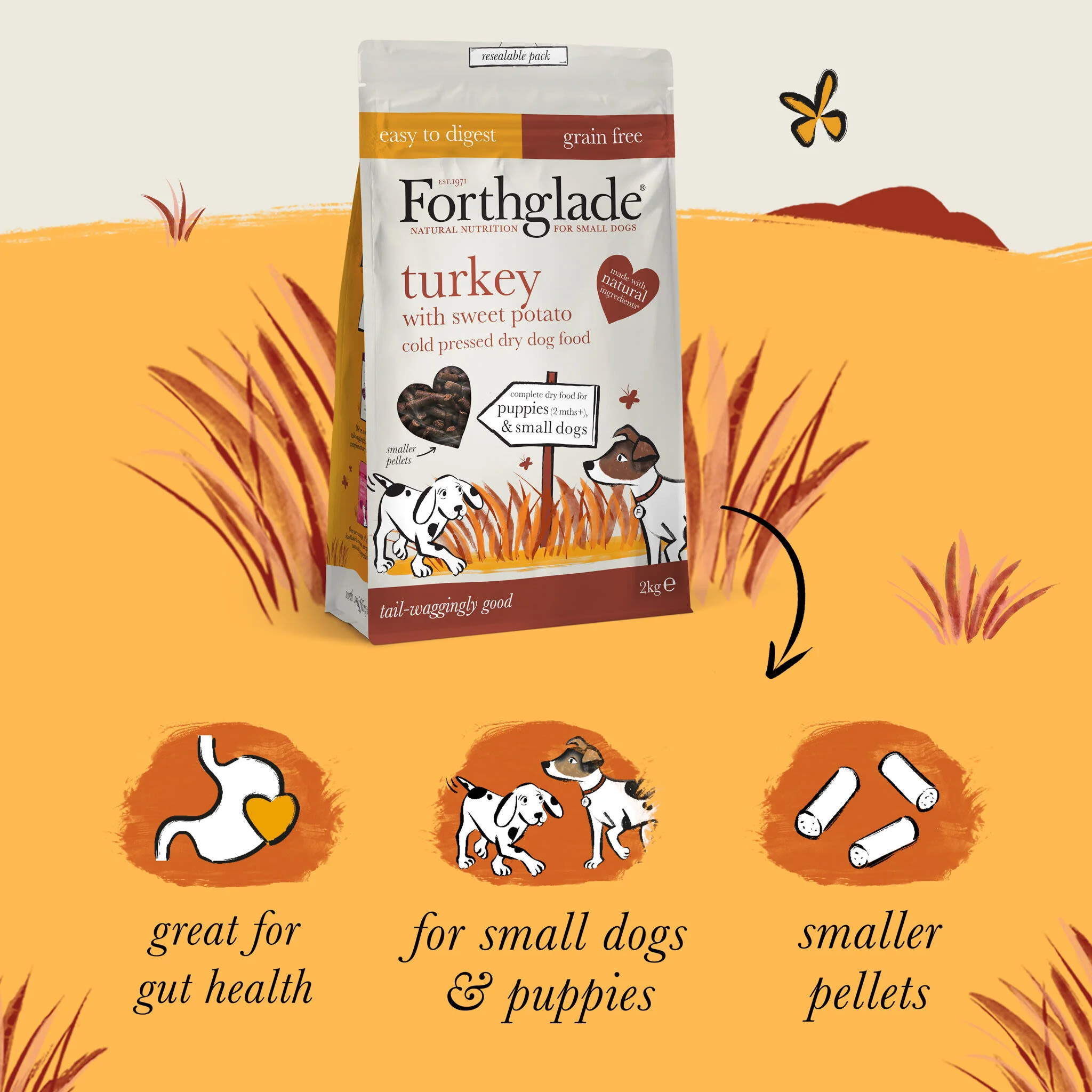 Forthglade Complete Natural Cold Pressed Small Dry Dog Food - Turkey with Sweet Potato - Image 5