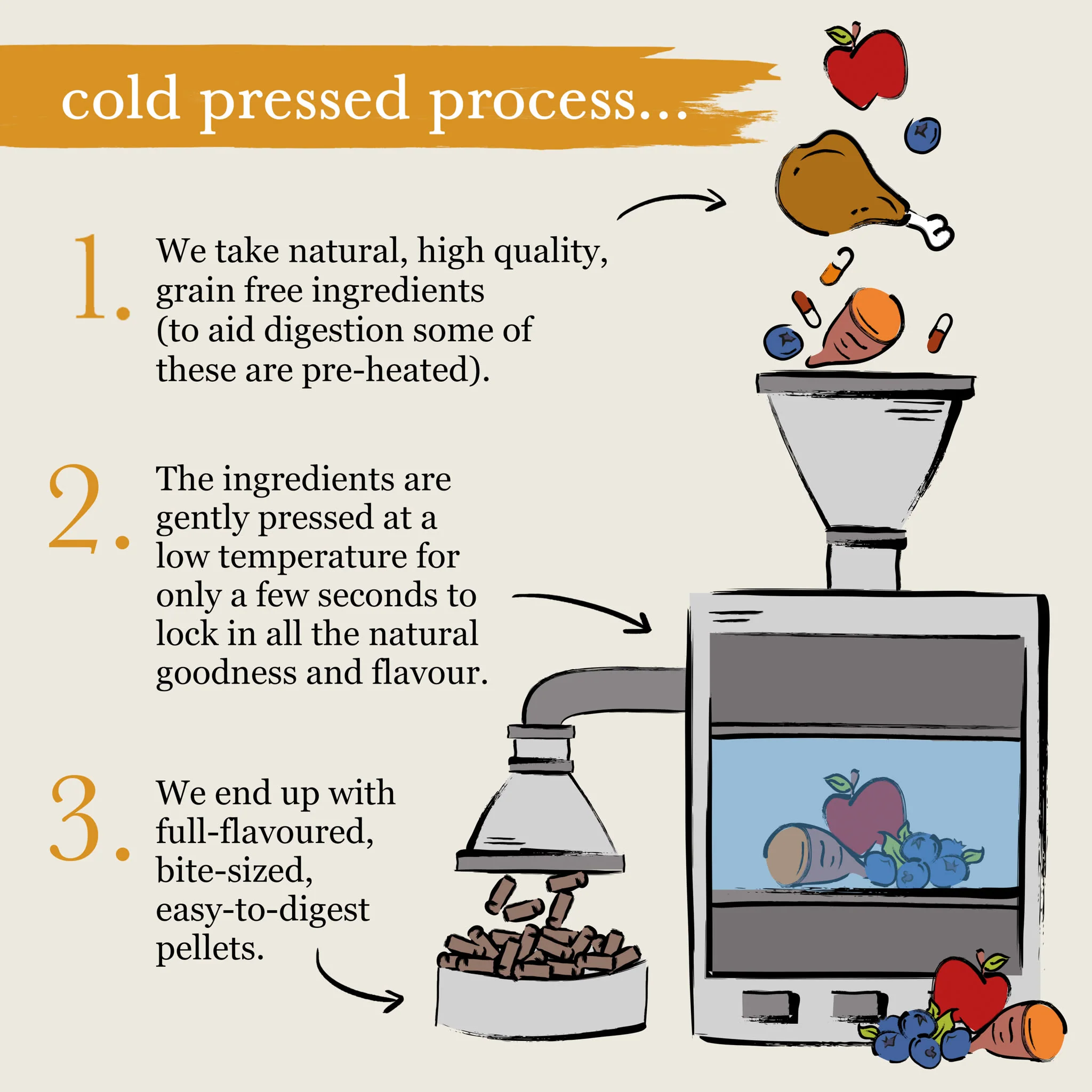 Forthglade Complete Natural Cold Pressed Small Dry Dog Food - Turkey with Sweet Potato - Image 7