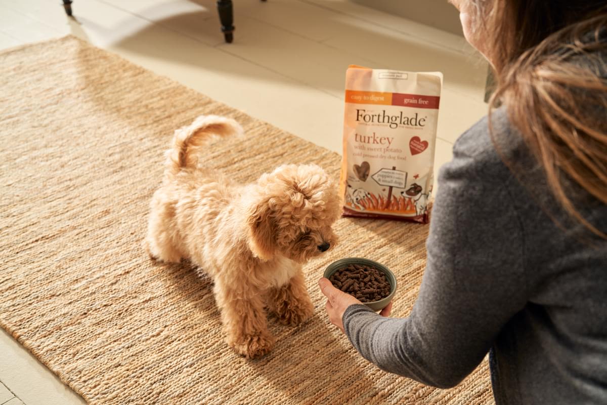 Forthglade Complete Natural Cold Pressed Small Dry Dog Food - Turkey with Sweet Potato - Image 9