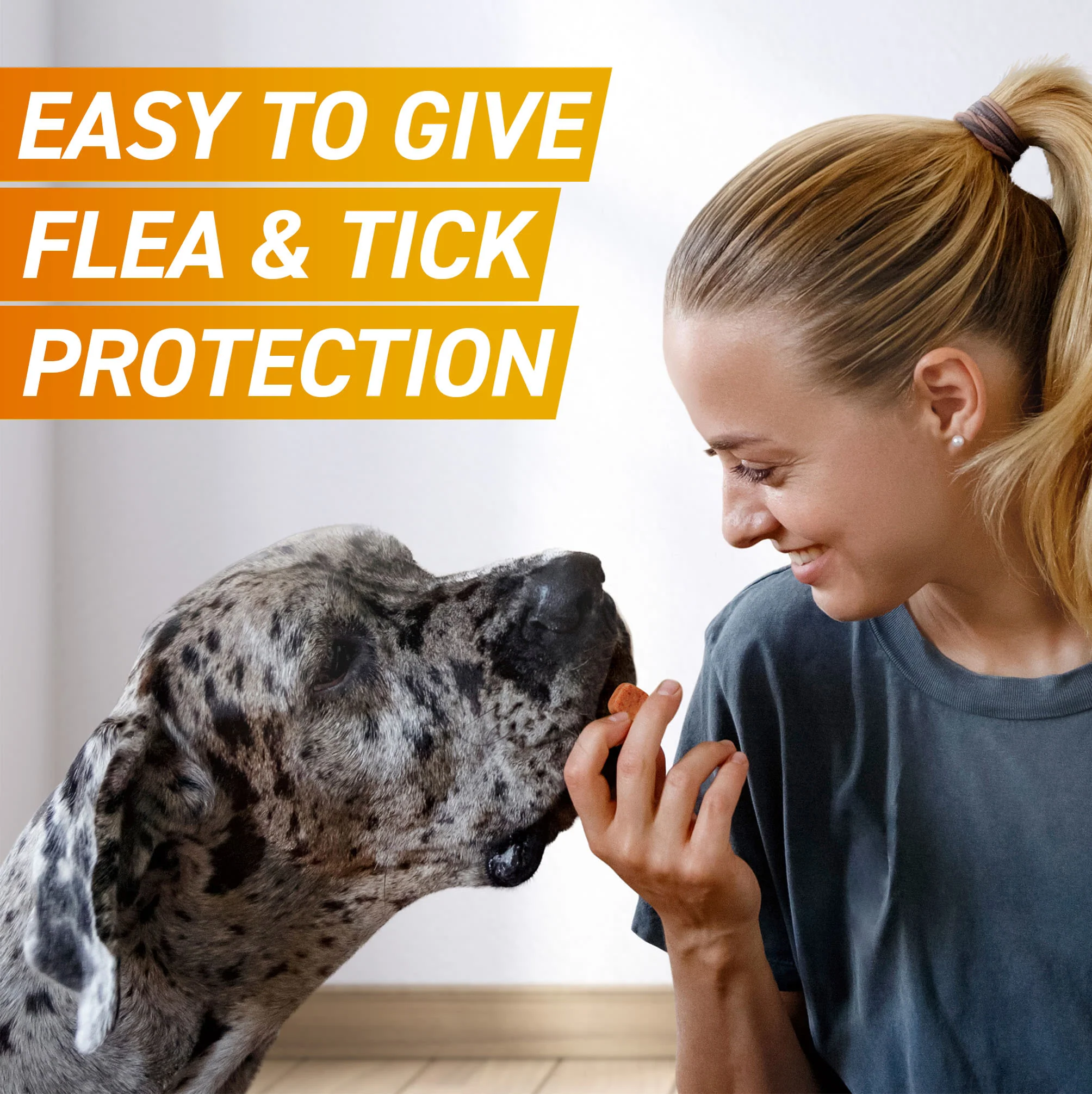 Frontpro Chewable Tablets Flea & Tick Treatment for Dogs - Extra Large (>25-50kg) - Image 3