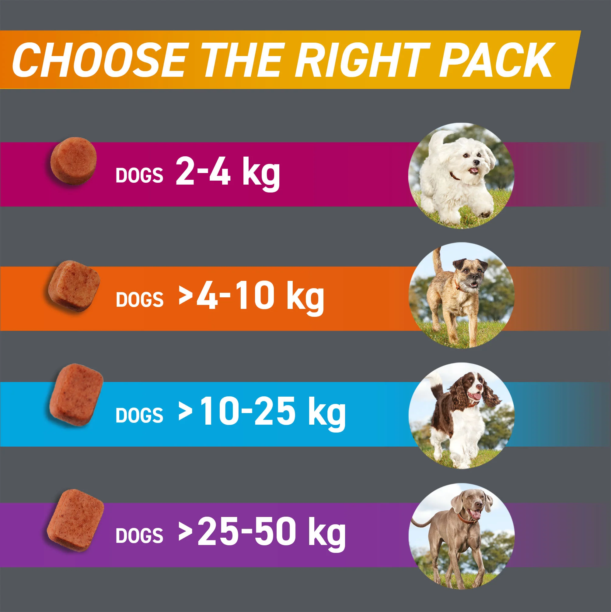 Frontpro Chewable Tablets Flea & Tick Treatment for Dogs - Extra Large (>25-50kg) - Image 6