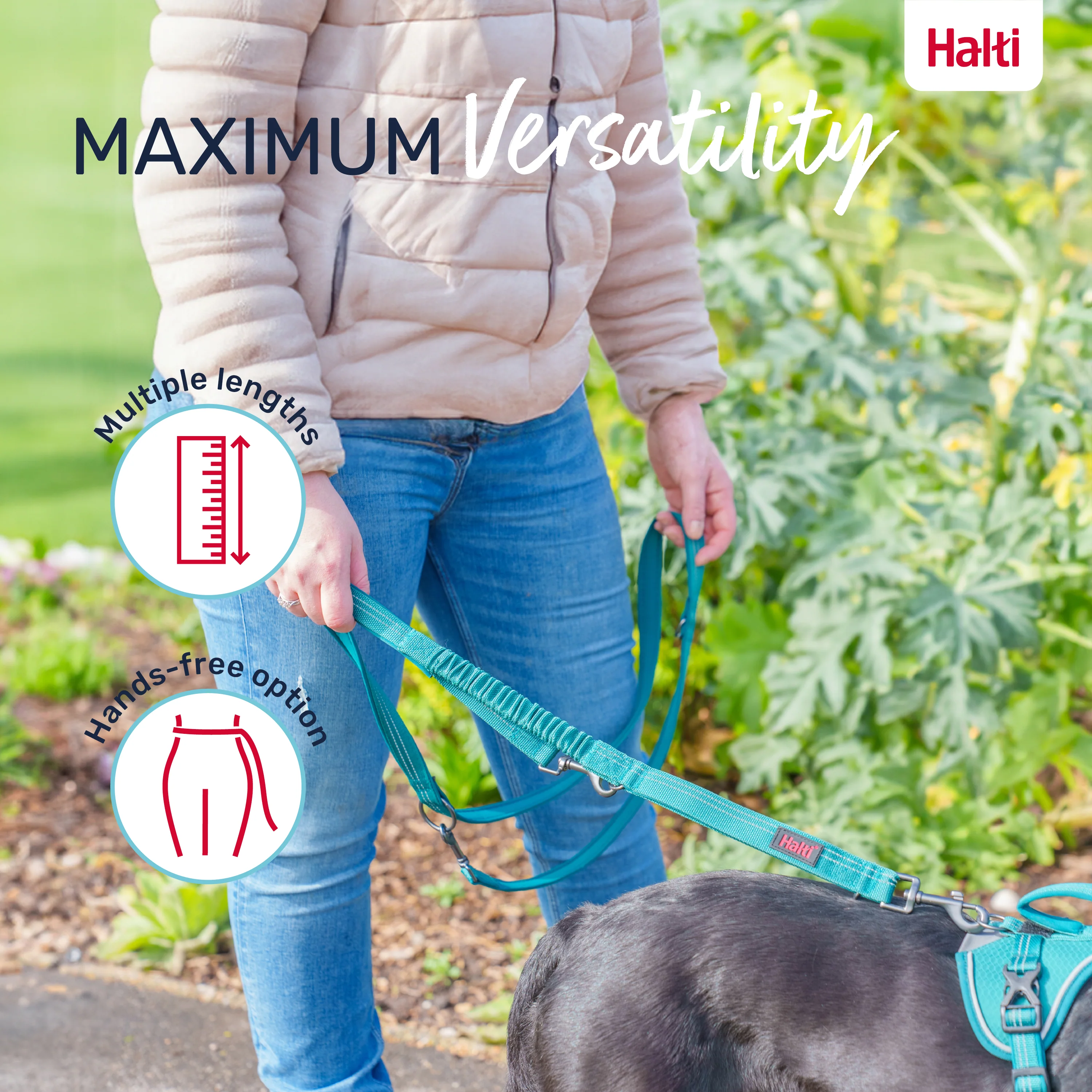 Halti Anatomy Multi Dog Lead - Magenta - Image 4