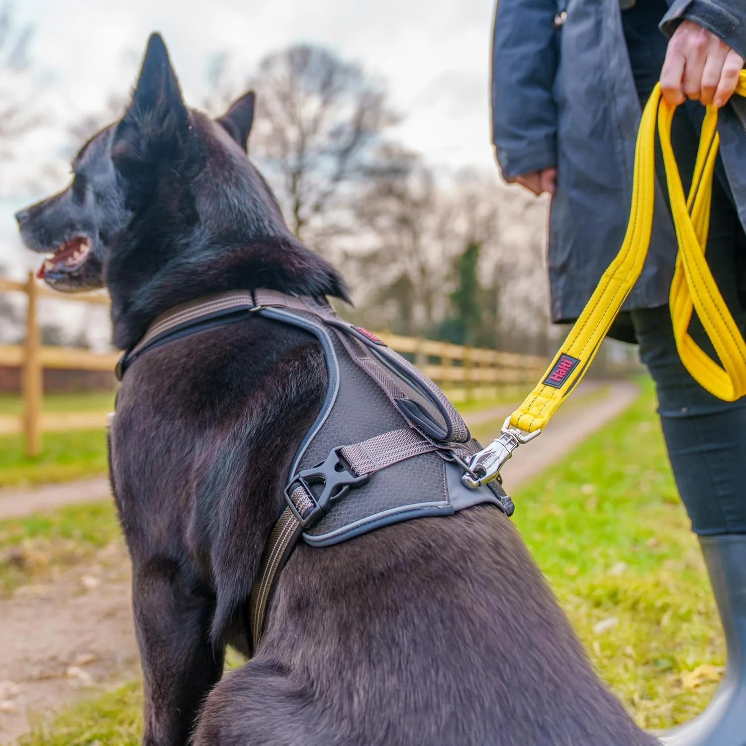 Halti BRIG Safety Dog Lead Black - Image 3