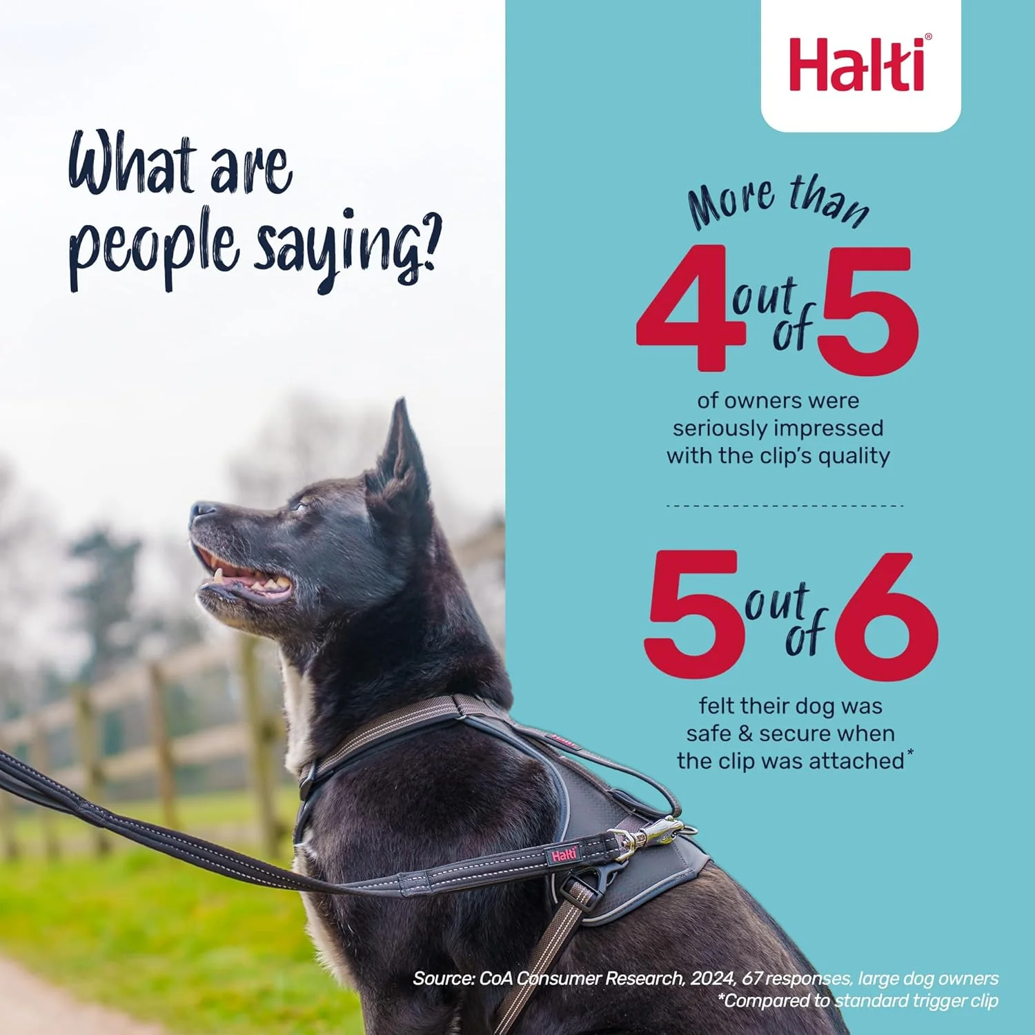 Halti BRIG Safety Dog Lead Black - Image 4