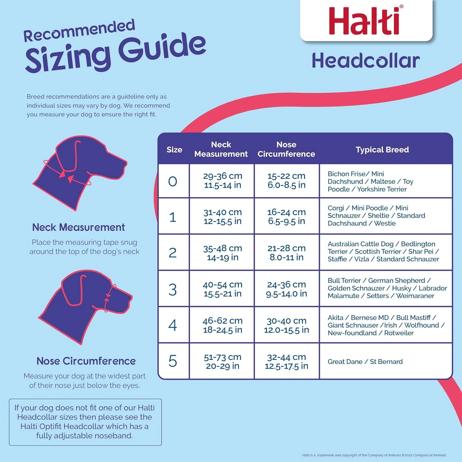 Halti Train Headcollar Black - Image 3