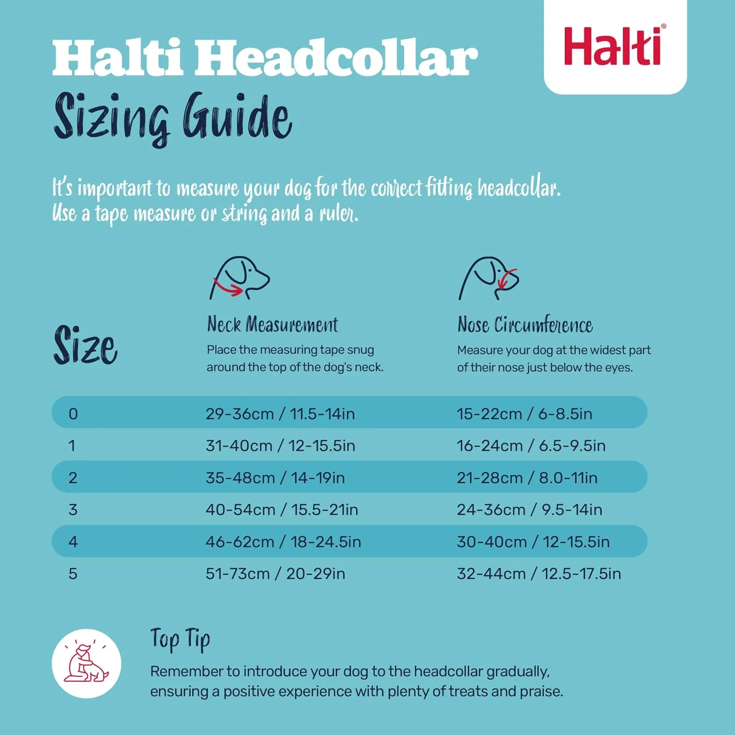 Halti Train Headcollar Purple - Image 3