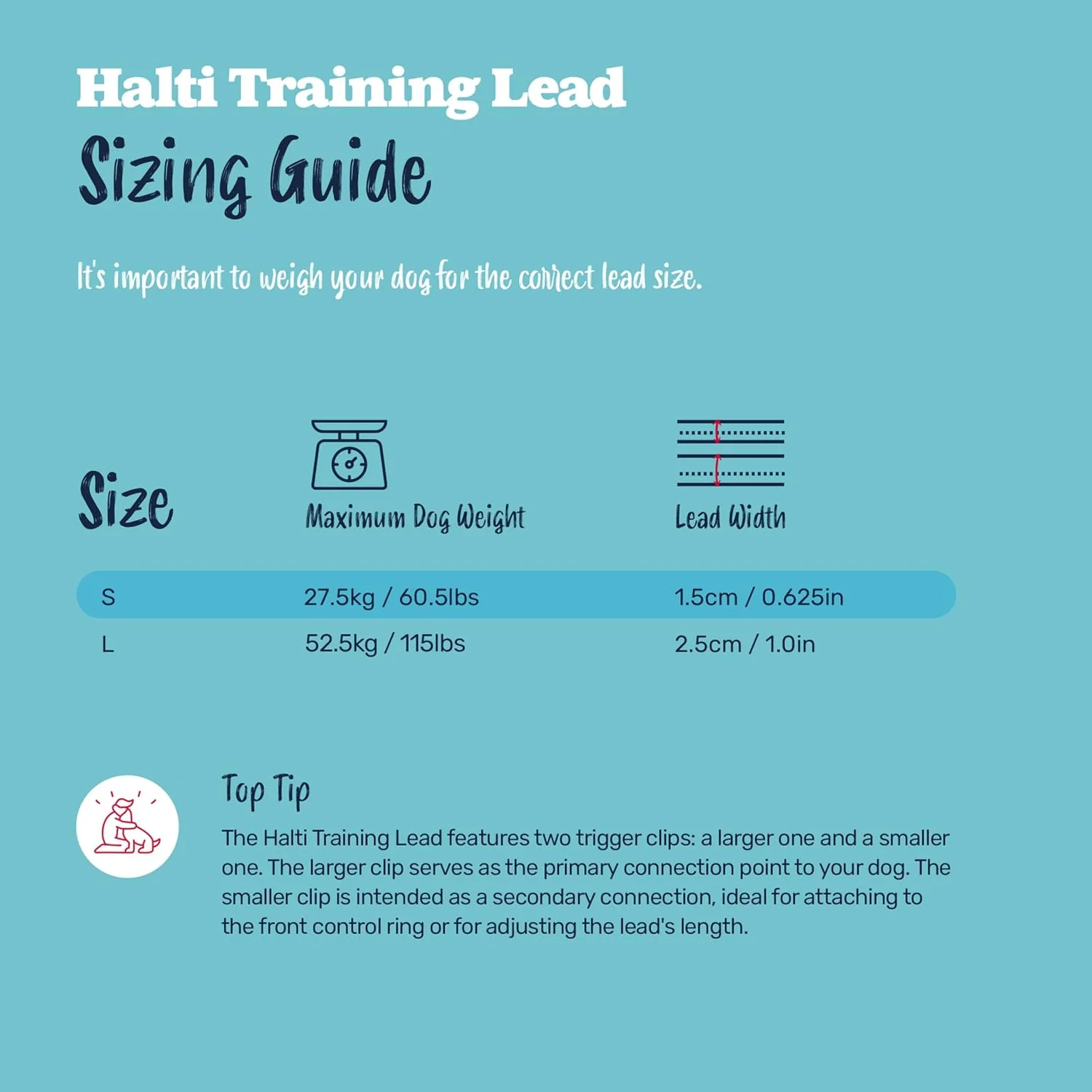 Halti Train Training Lead Burnt Orange - Image 3