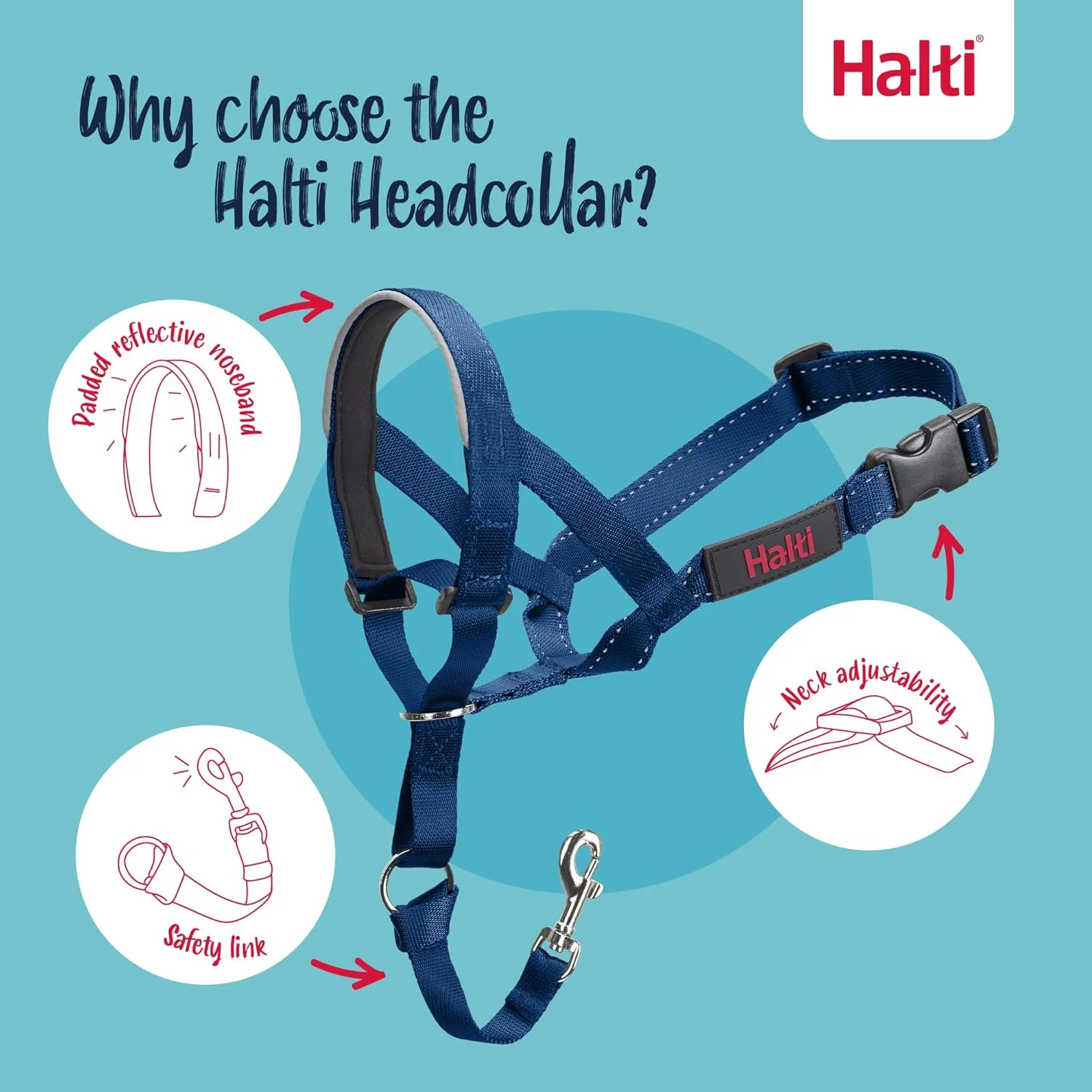 Halti Train Headcollar Burnt Orange - Image 5
