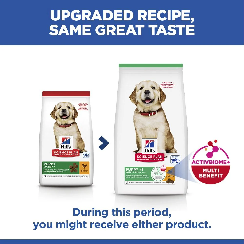 Hill's Science Plan Large Puppy Dry Dog Food - Chicken - Image 8