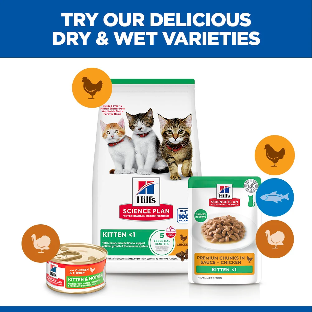 Hill's Science Plan Kitten Wet Food Multipack Chicken & Turkey - Image 7