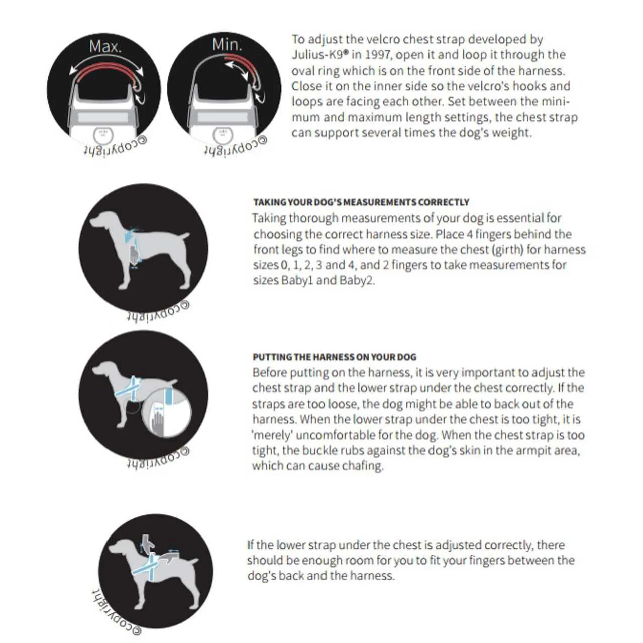 Julius-K9 IDC Black Dog Harness - Image 3