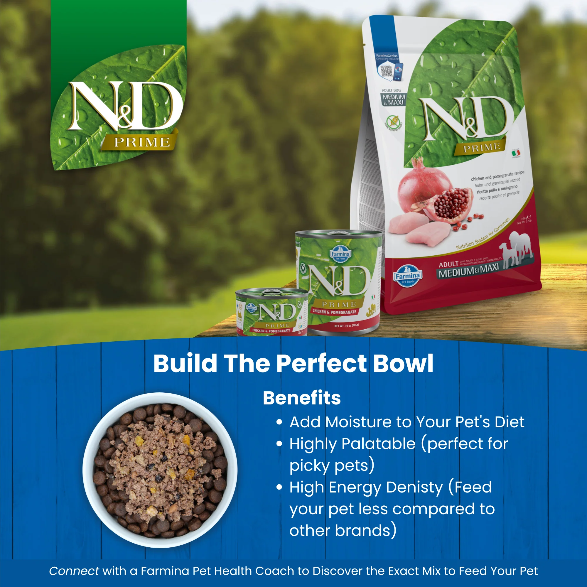 N&D Prime Adult Wet Dog Food - Chicken & Pomegranate - Image 4